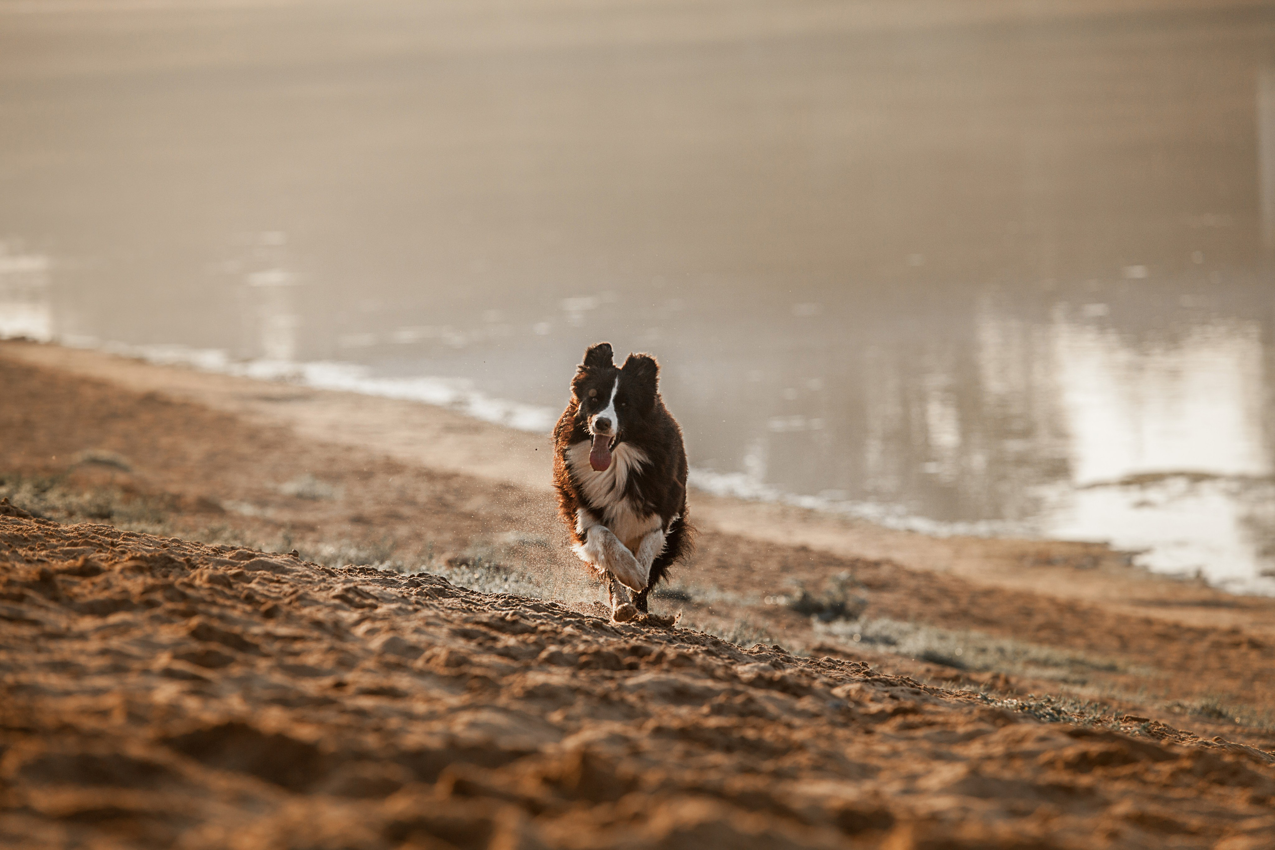 Сочный рассвет, на который решились. О нас