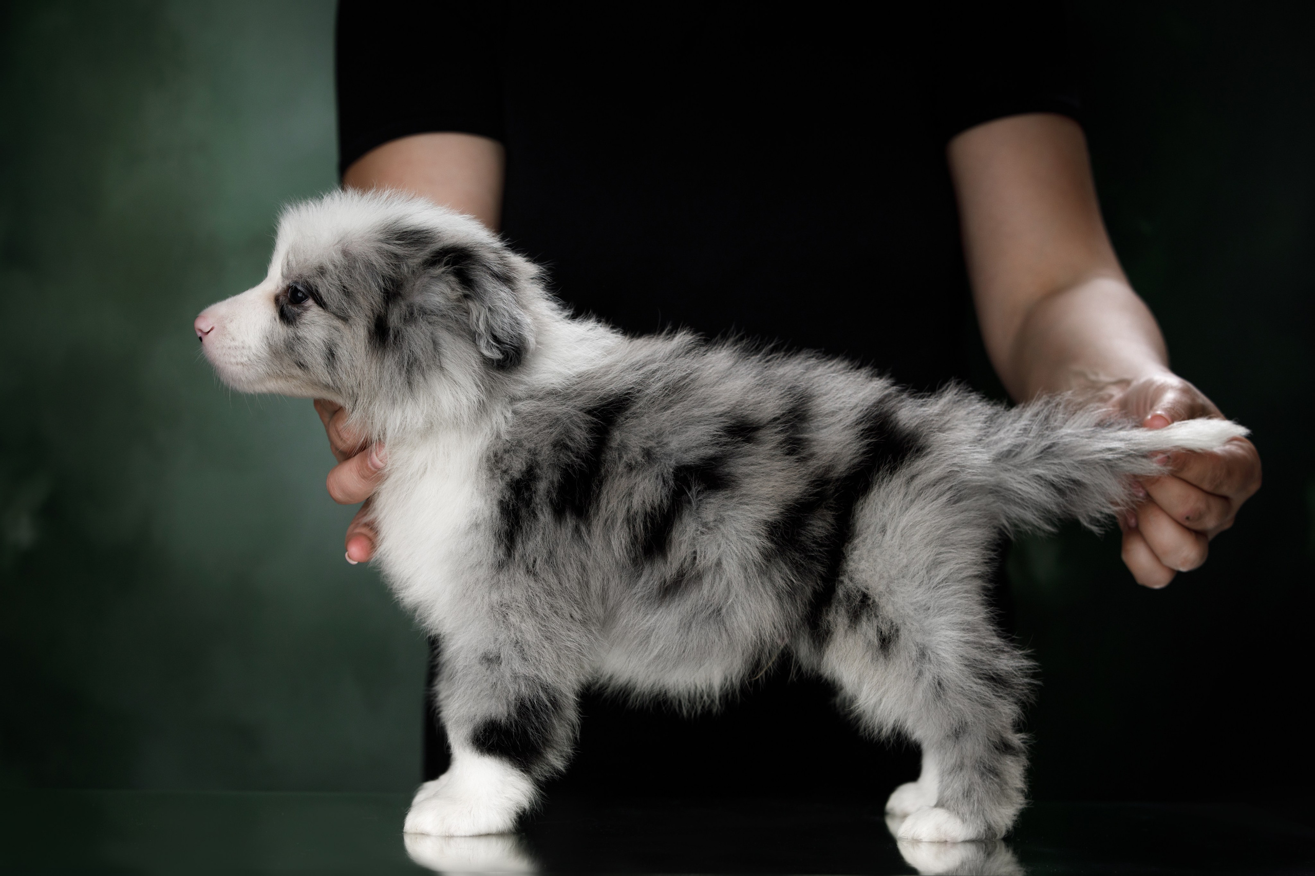 Март. Весна. 22. О нас