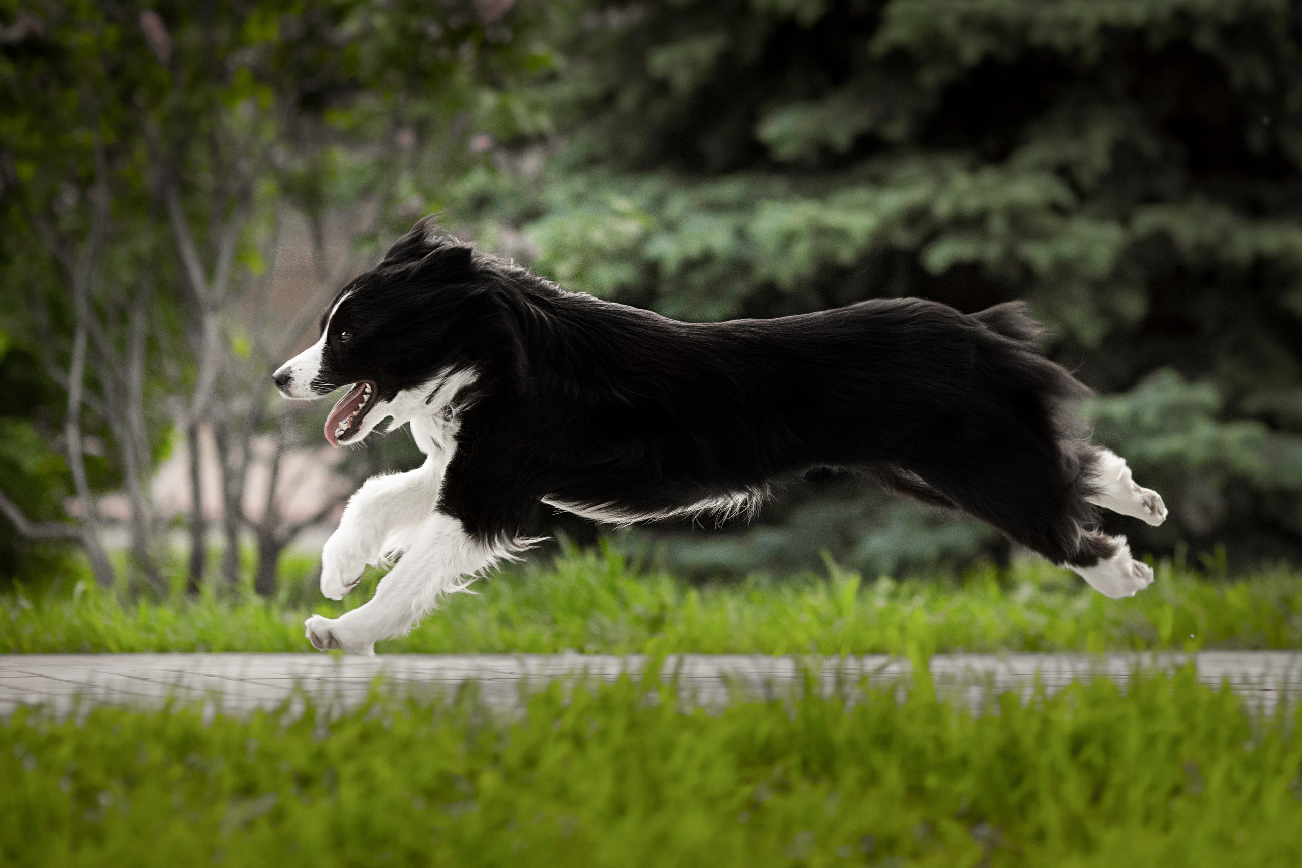 Роскошь в ростошах. О нас