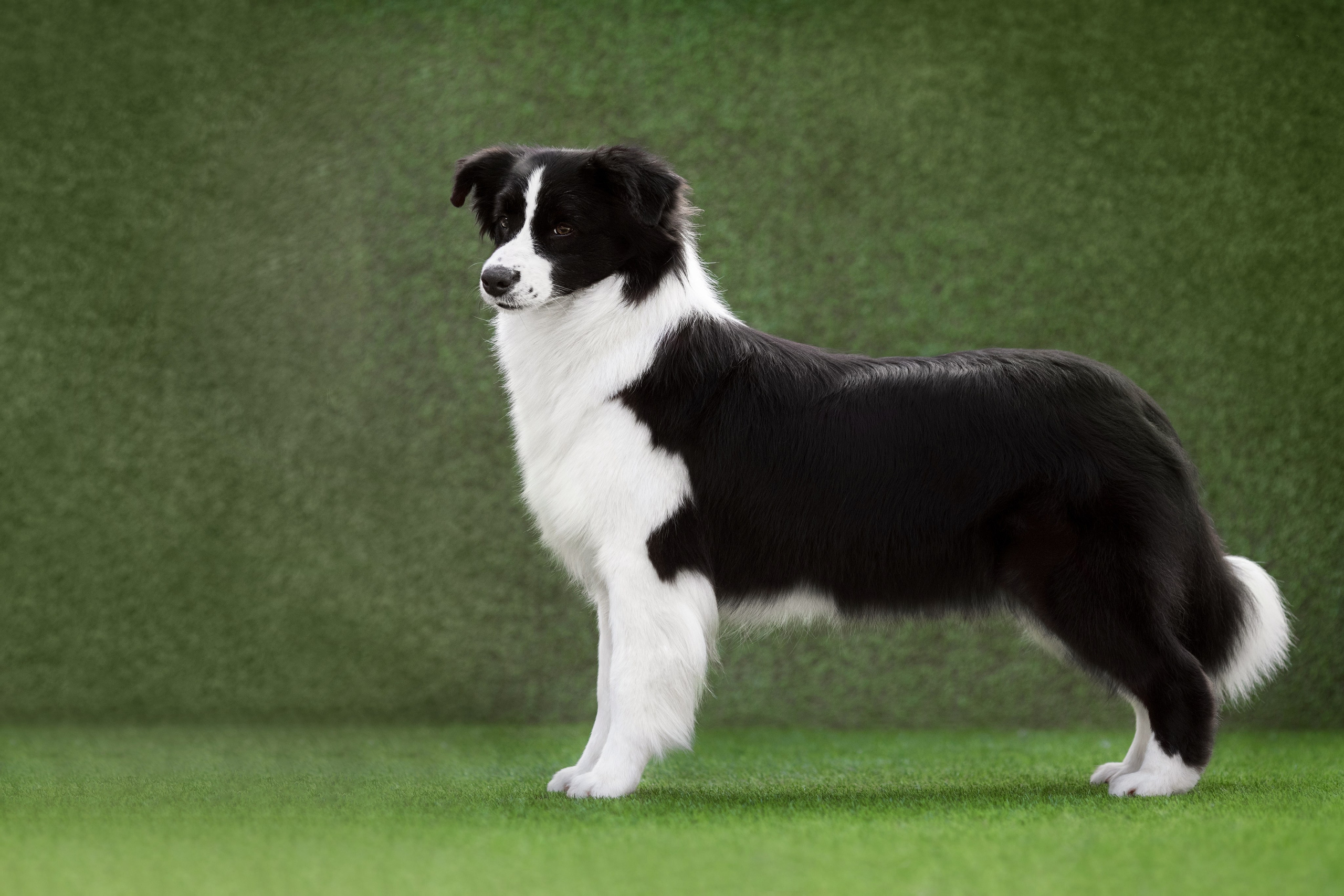 Роскошь в ростошах. О нас