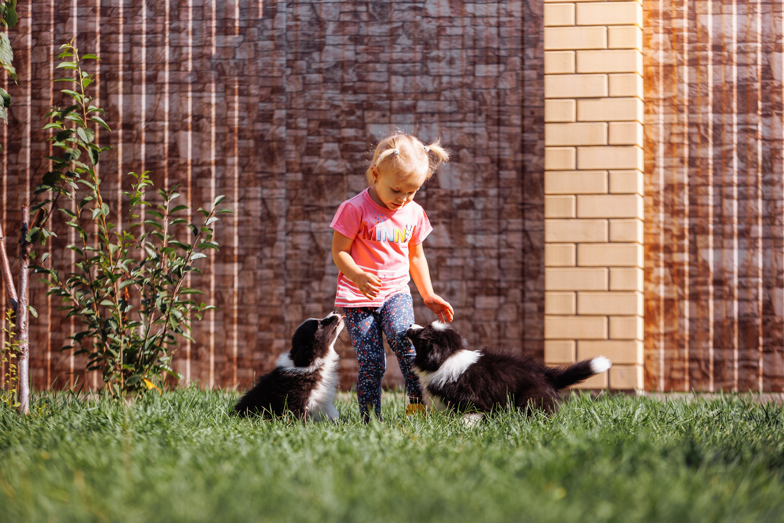 МММ — маленькое мягкое милое. О нас