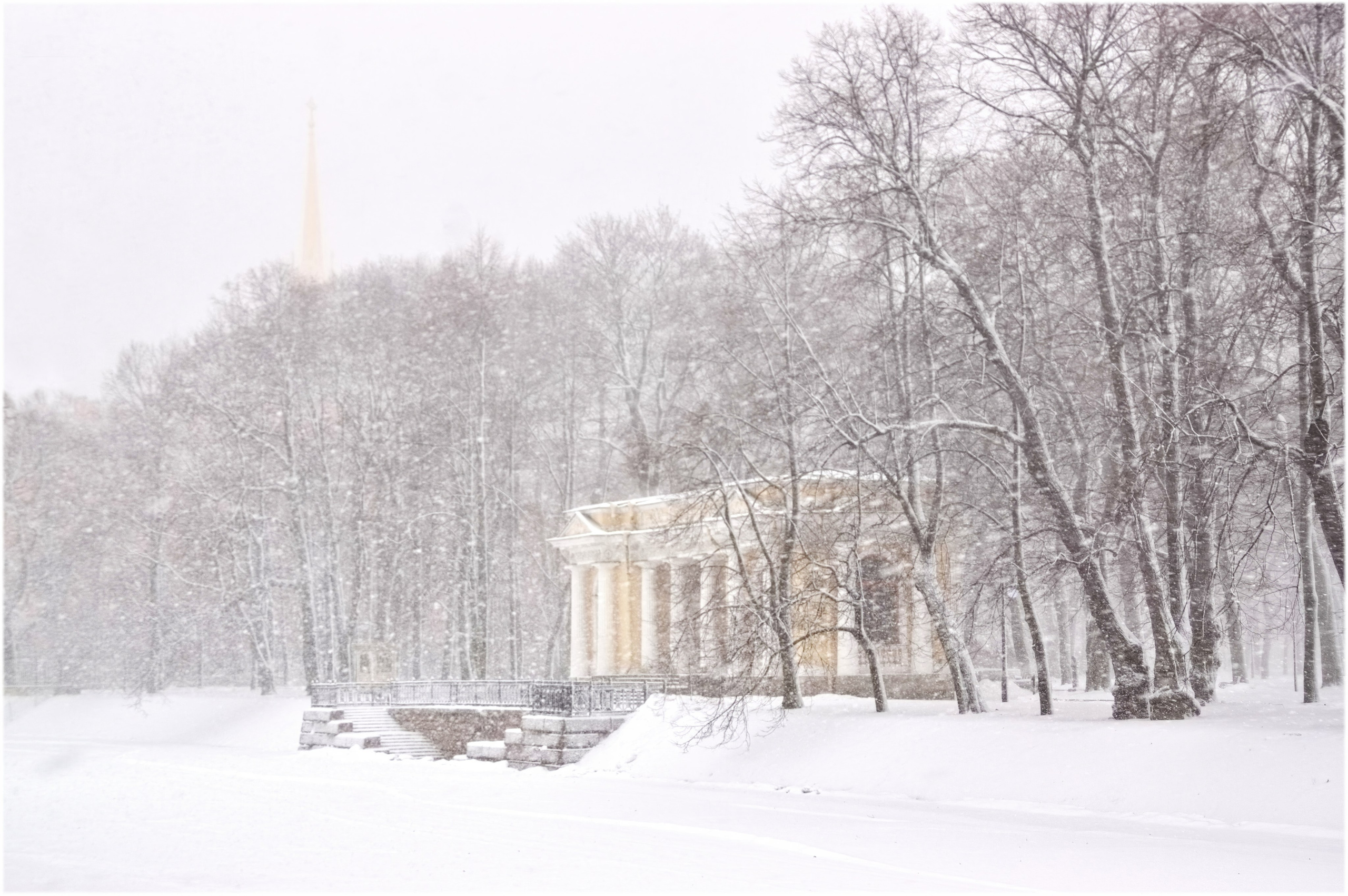 Санкт-Петербург. Вадим Шейдин