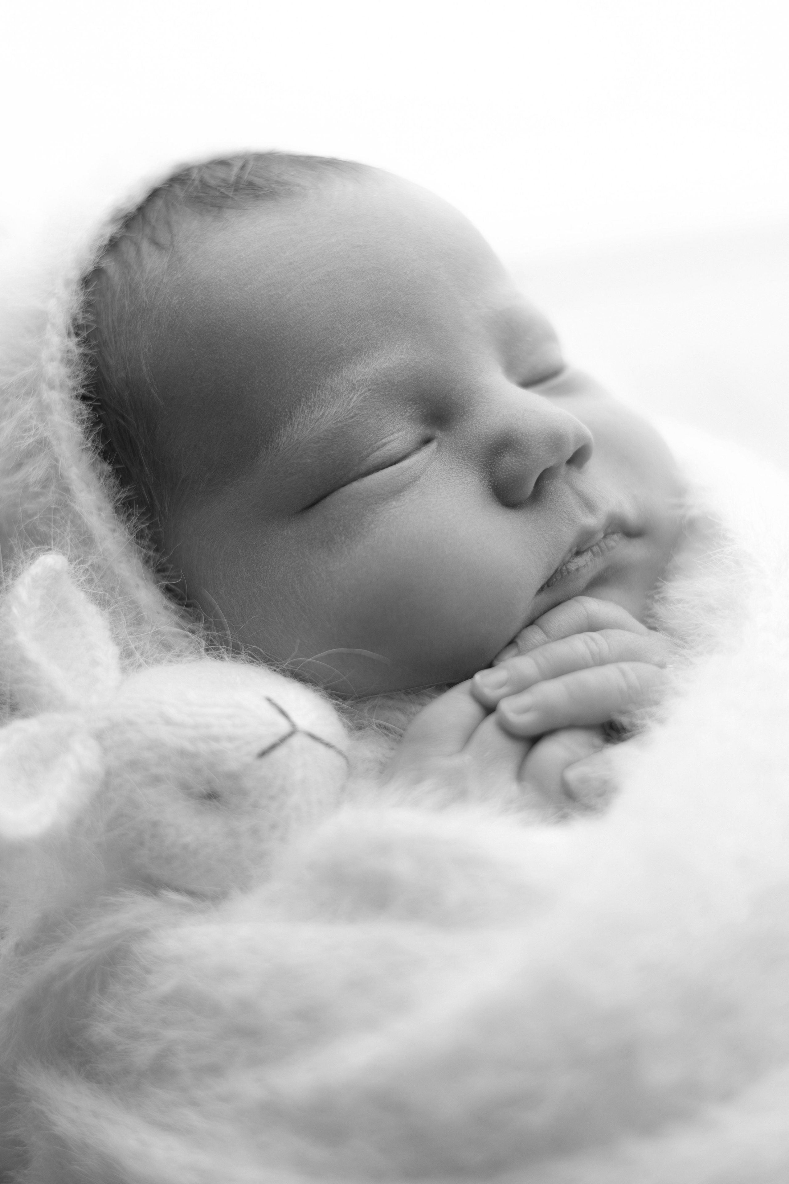 Лев. Лилия Алтухова — фотограф новорожденных в Москве и области