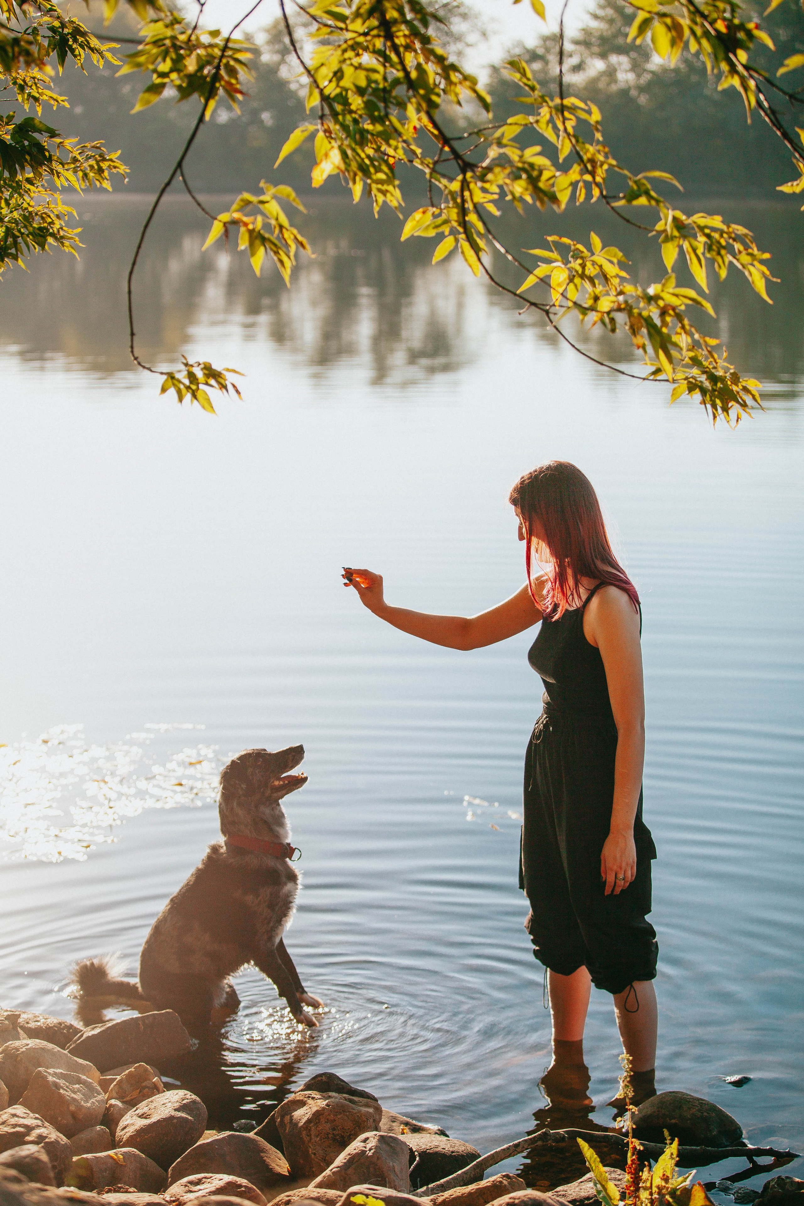 Вега и Гриша. Главная