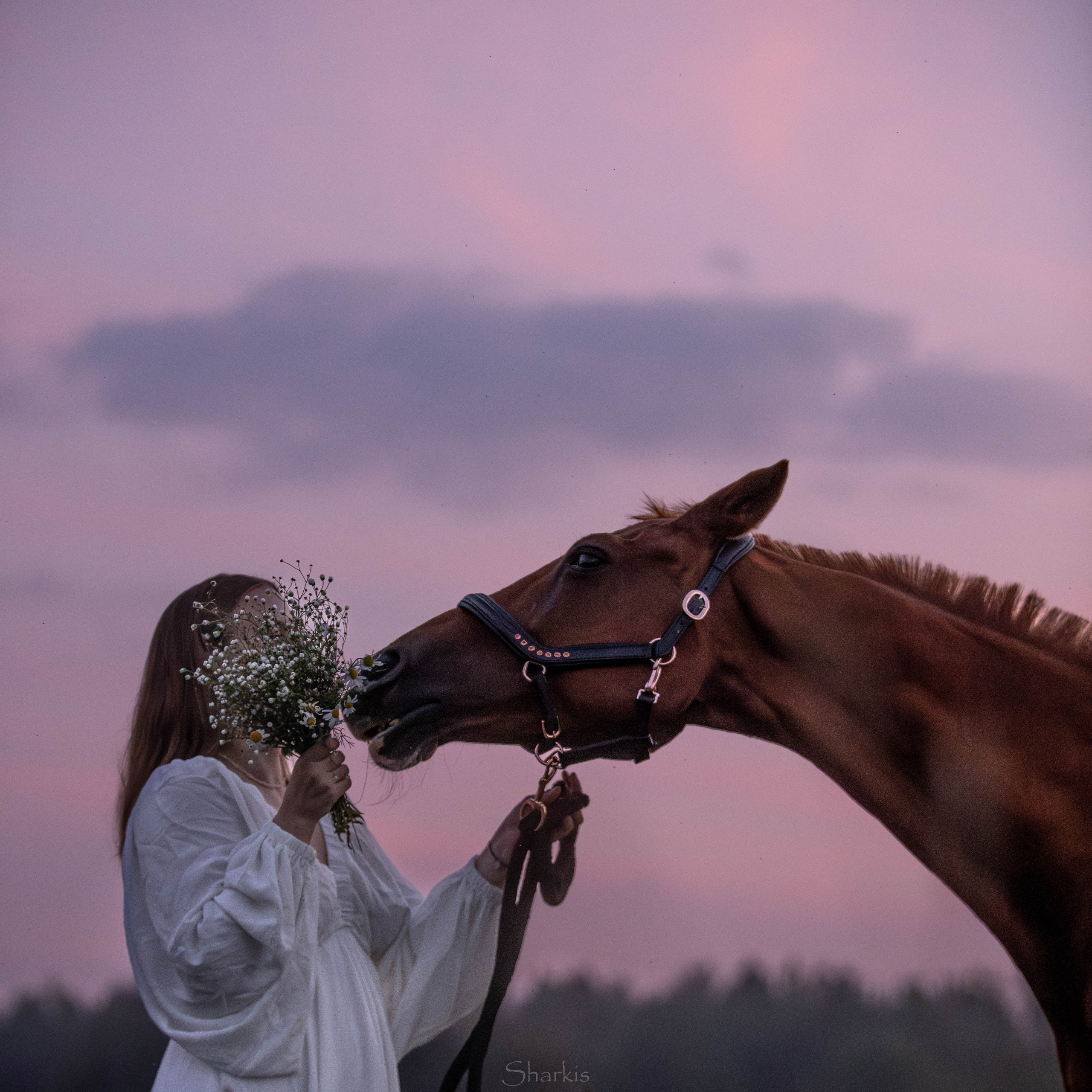 Аня и Гас. Главная