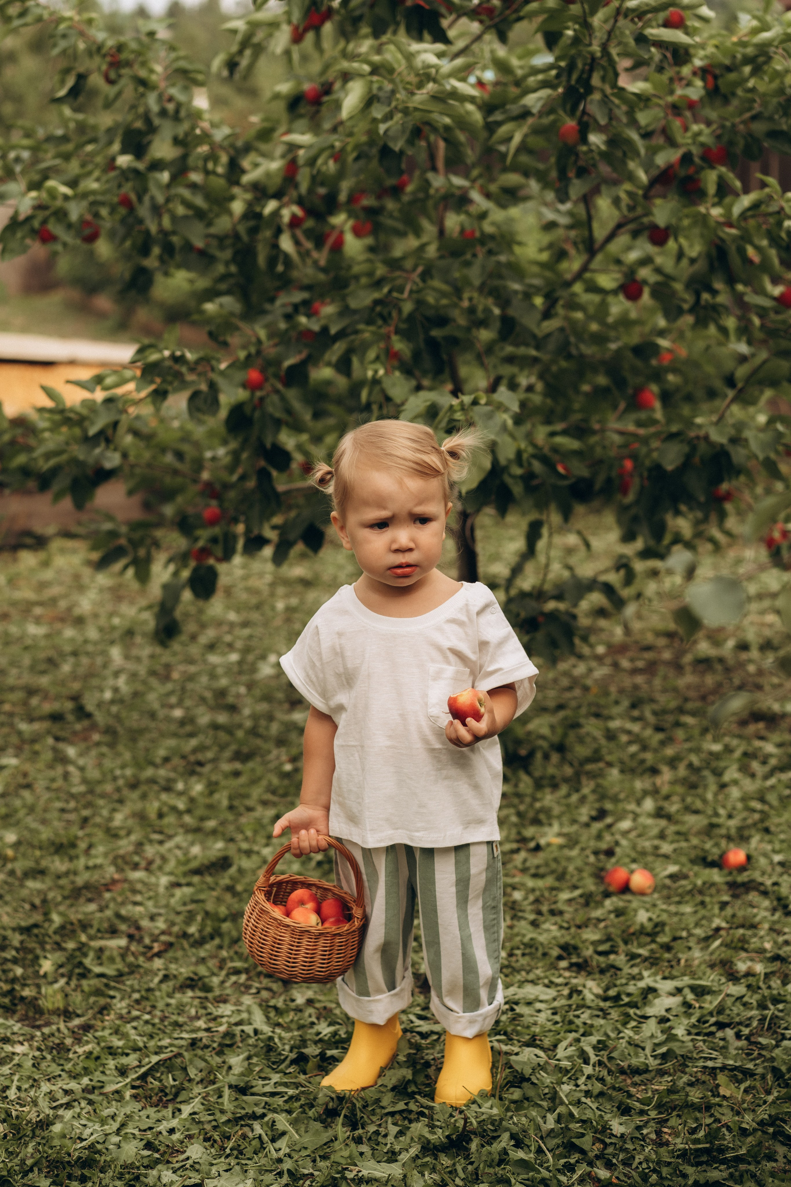 Удачные дела. Семейный фотограф в Ангарске/ Иркутске