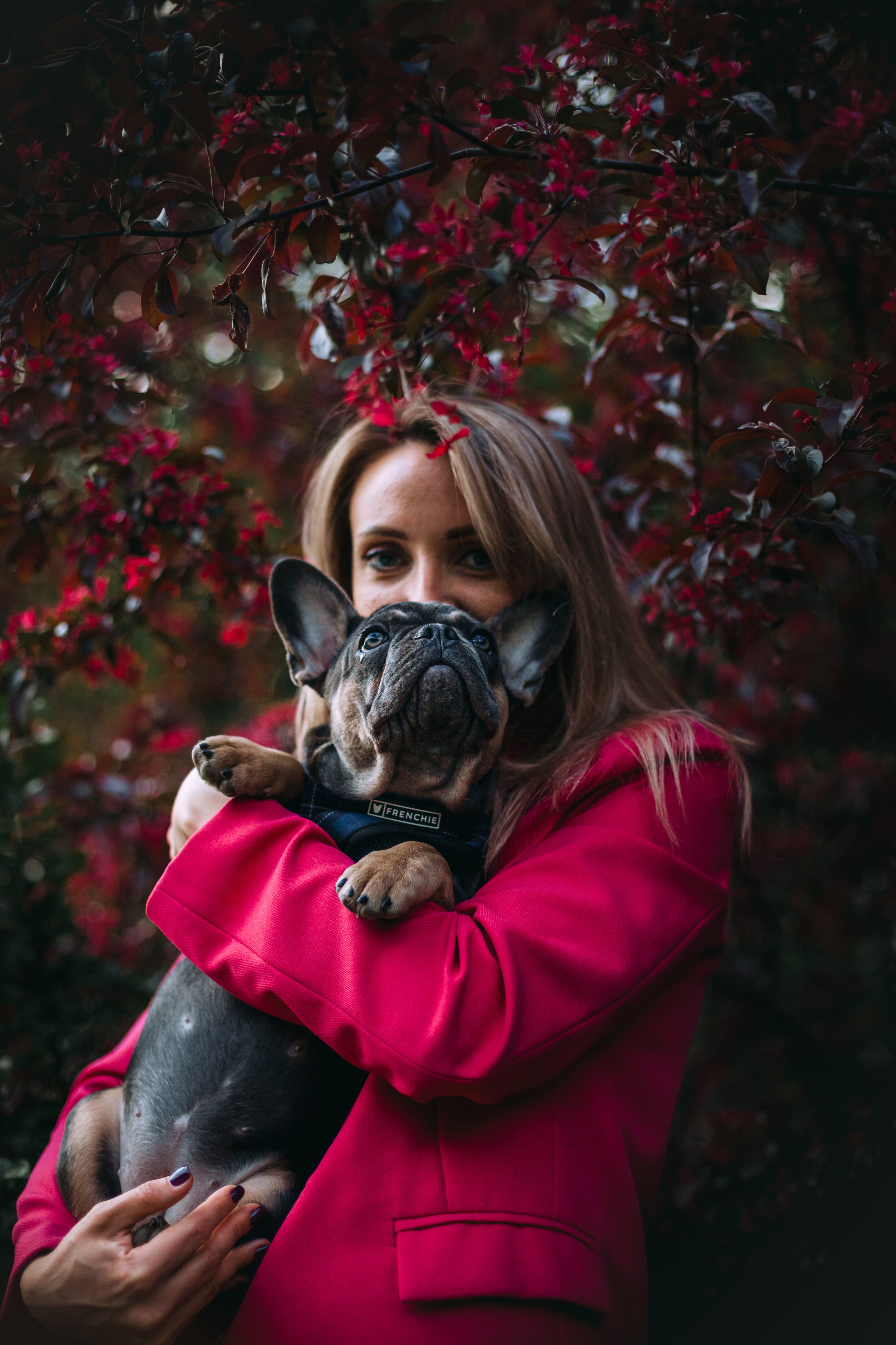 Даша и Мишель. Фотограф-анималист Татьяна Степанова