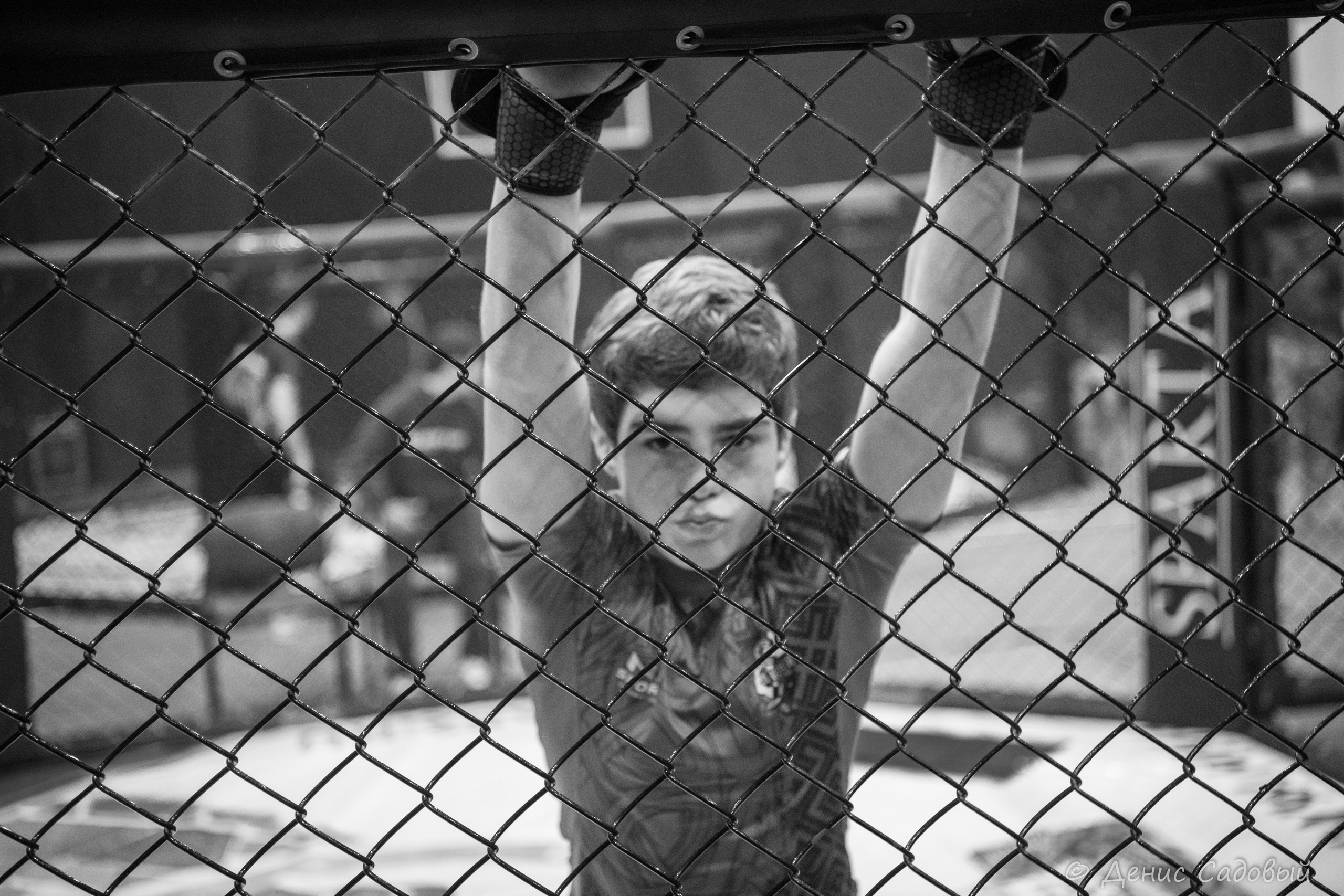 ММА Смешанные единоборства. Денис Садовый фотограф Севастополь. Фотографирую спорт, корпоративы, праздники, а также индивидуальные и семейные фотосессии