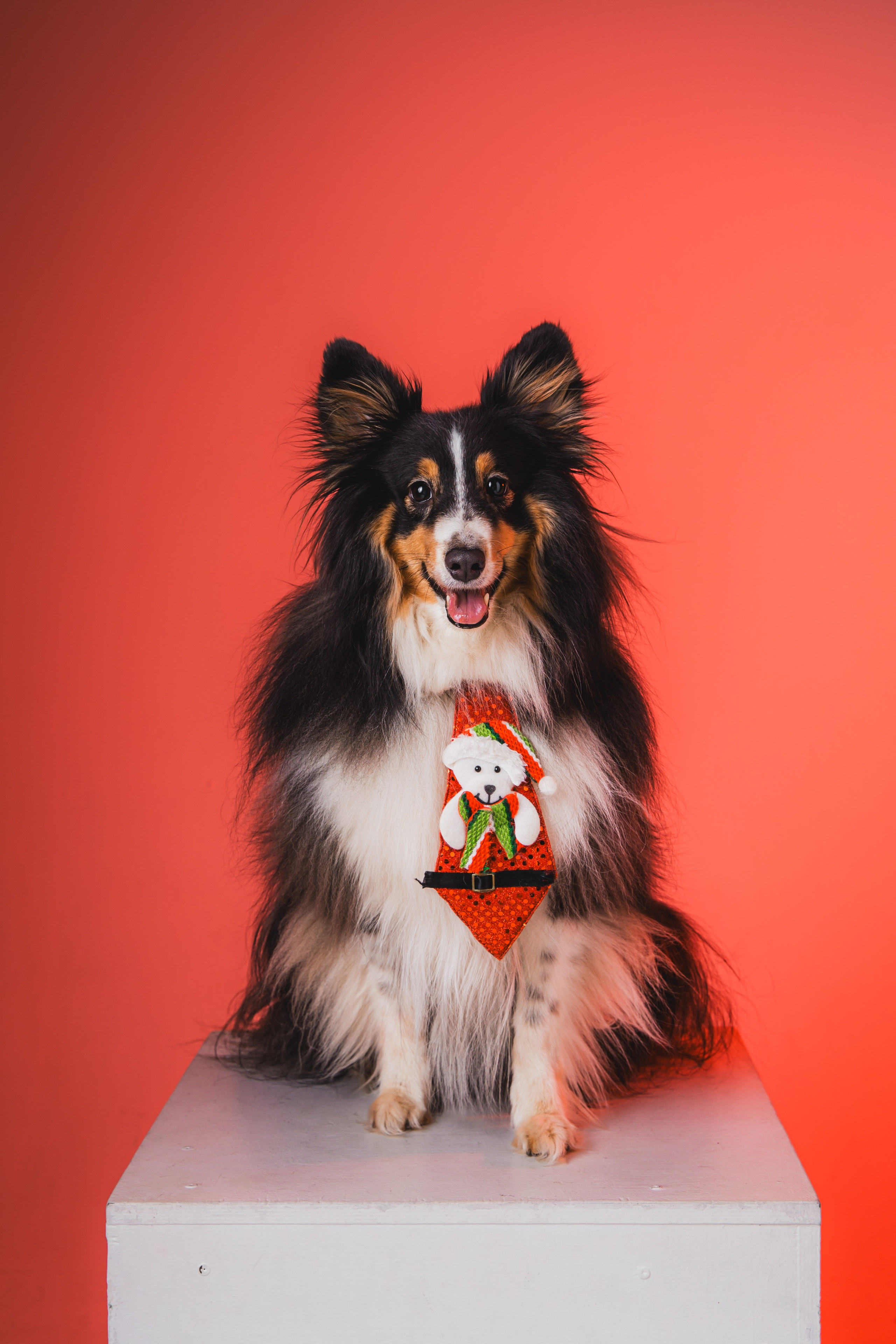 Воркшоп по импульсному свету