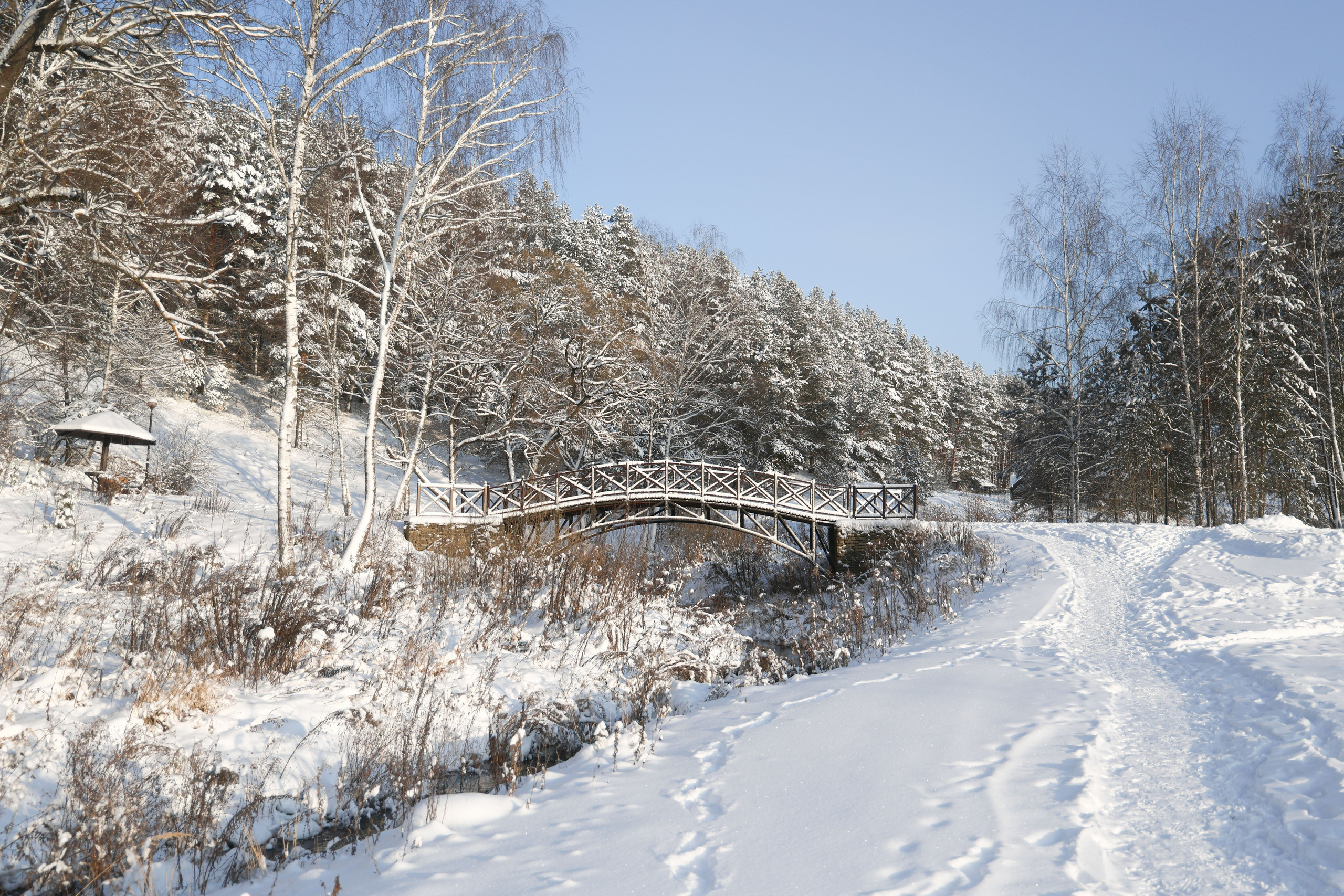 Рождествено Зима 2026. Фотограф Максим Татаринов