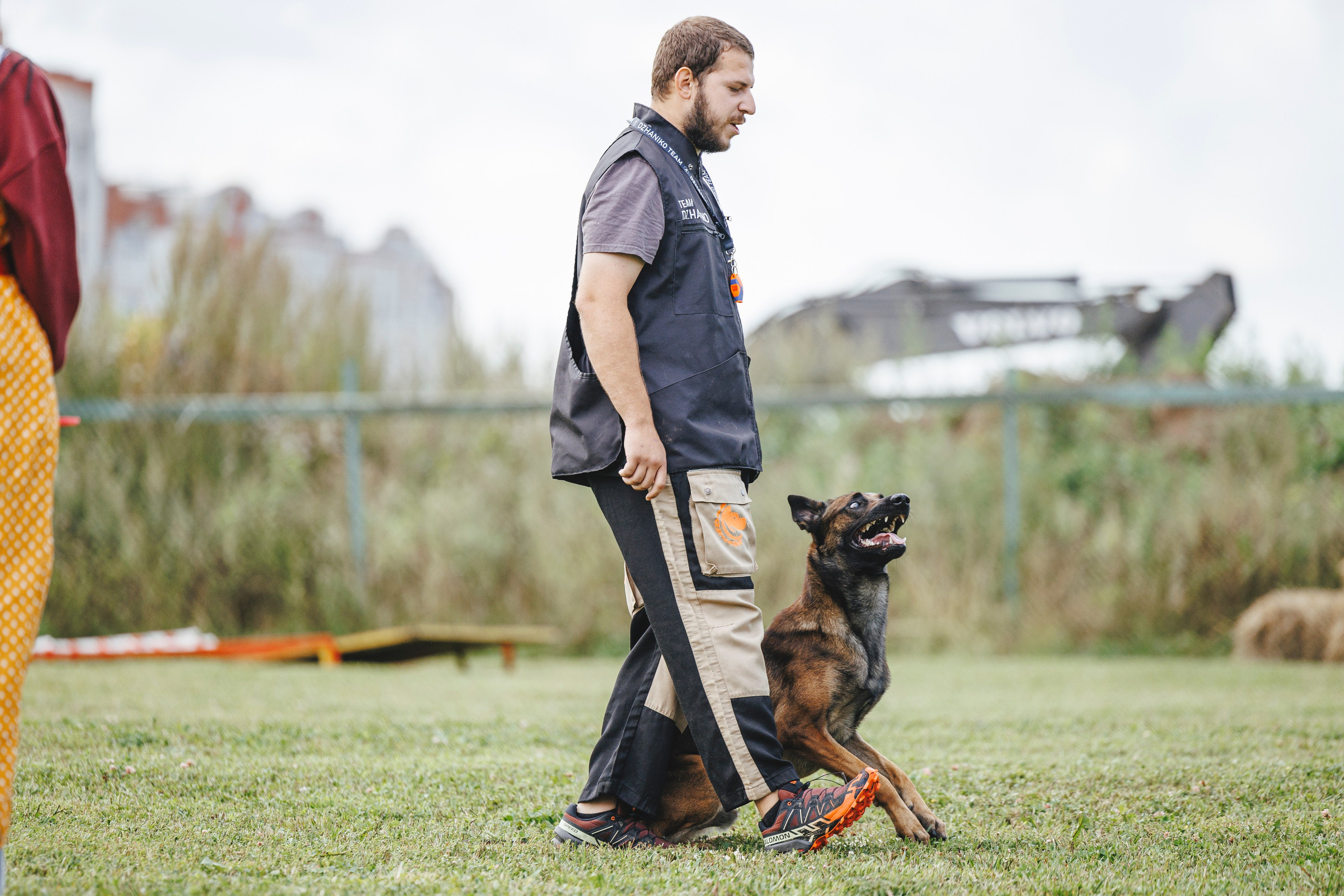 08.08.25-10.08.25 ЧР по мондьорингу г. Вологда. Фотограф-анималист Анна Маринич
