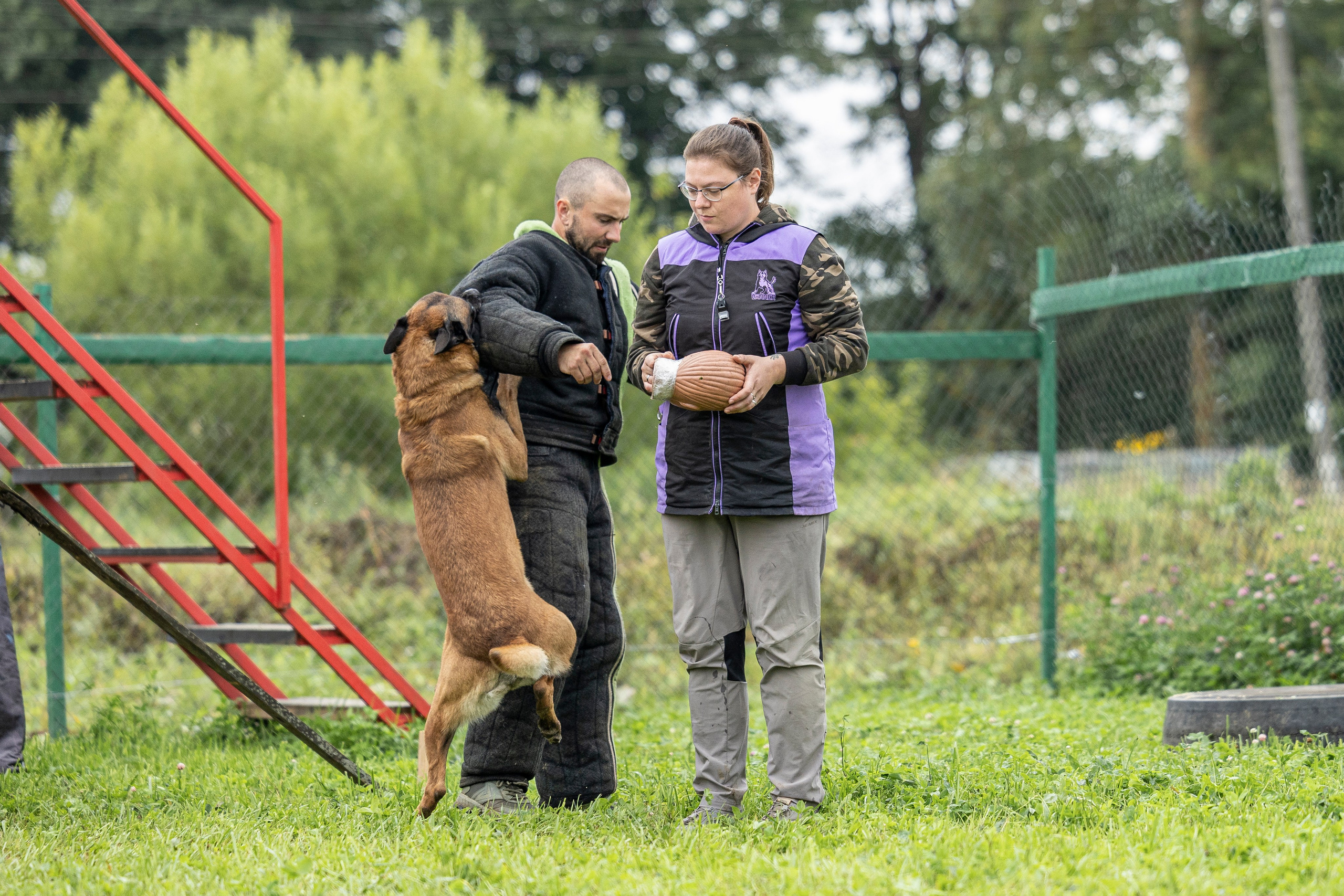 Соревнования по Мондьорингу г. Вологда 10-11.08.2024. Фотограф-анималист Анна Маринич