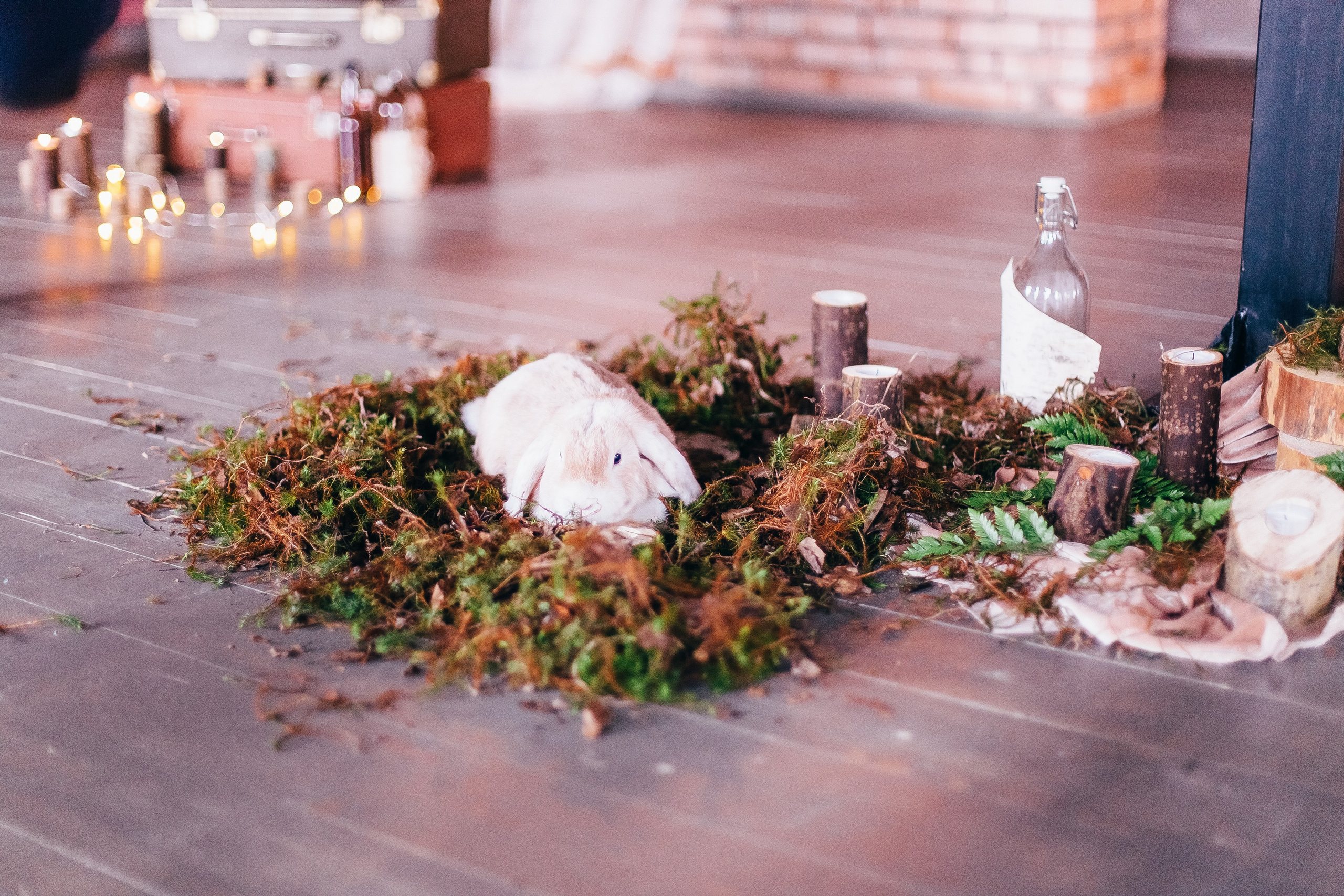 Владимир и Анна. Свадебный и семейный фотограф Екатерина Бубнова