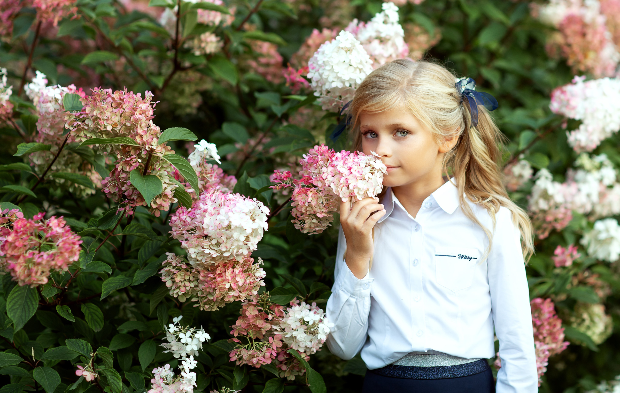 Съемка Алины к 1 сентября. Выпускные альбомы и школьный фотограф в Подольске, Троицке, Щербинке, Москве и Московской области