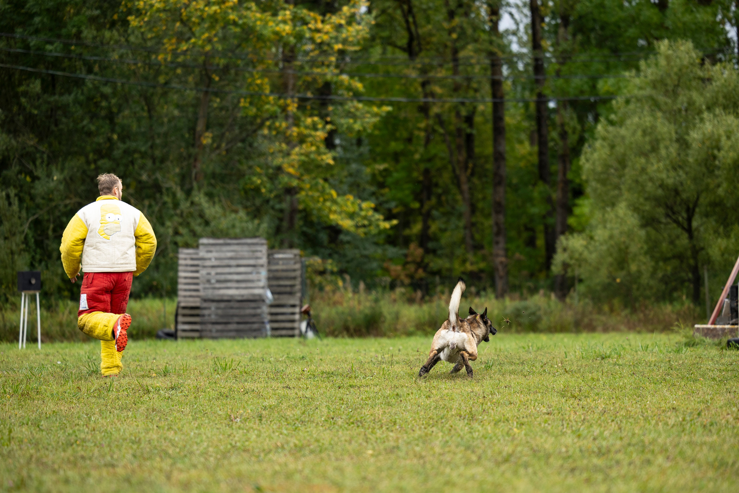 Испытания по Мондьорингу г. Пушкин. Фотограф-анималист Анна Маринич