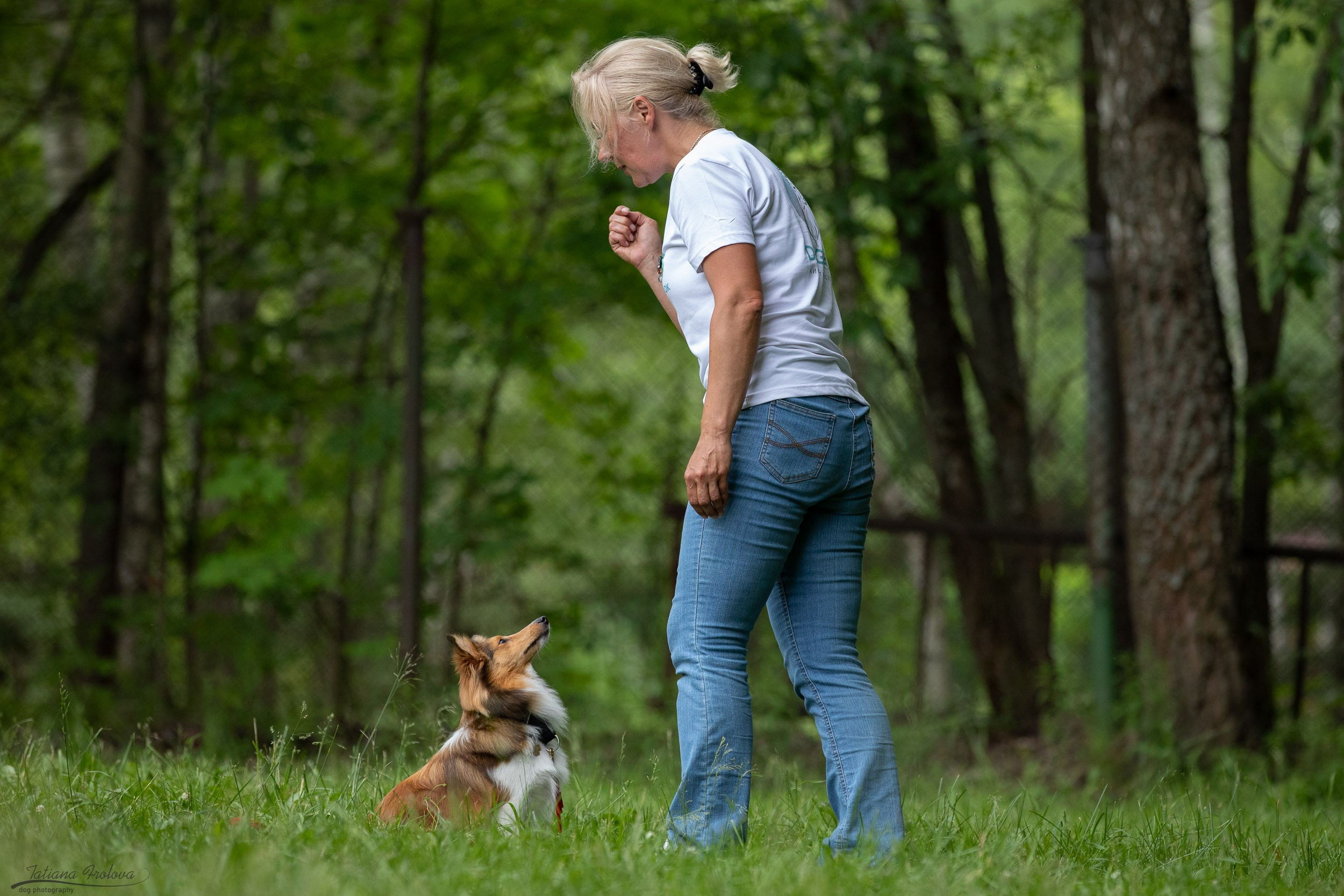 Репортаж с выводки молодняка колли/шелти в Ясенево. Фотограф-анималист в Москве и Московской области Татьяна Фролова