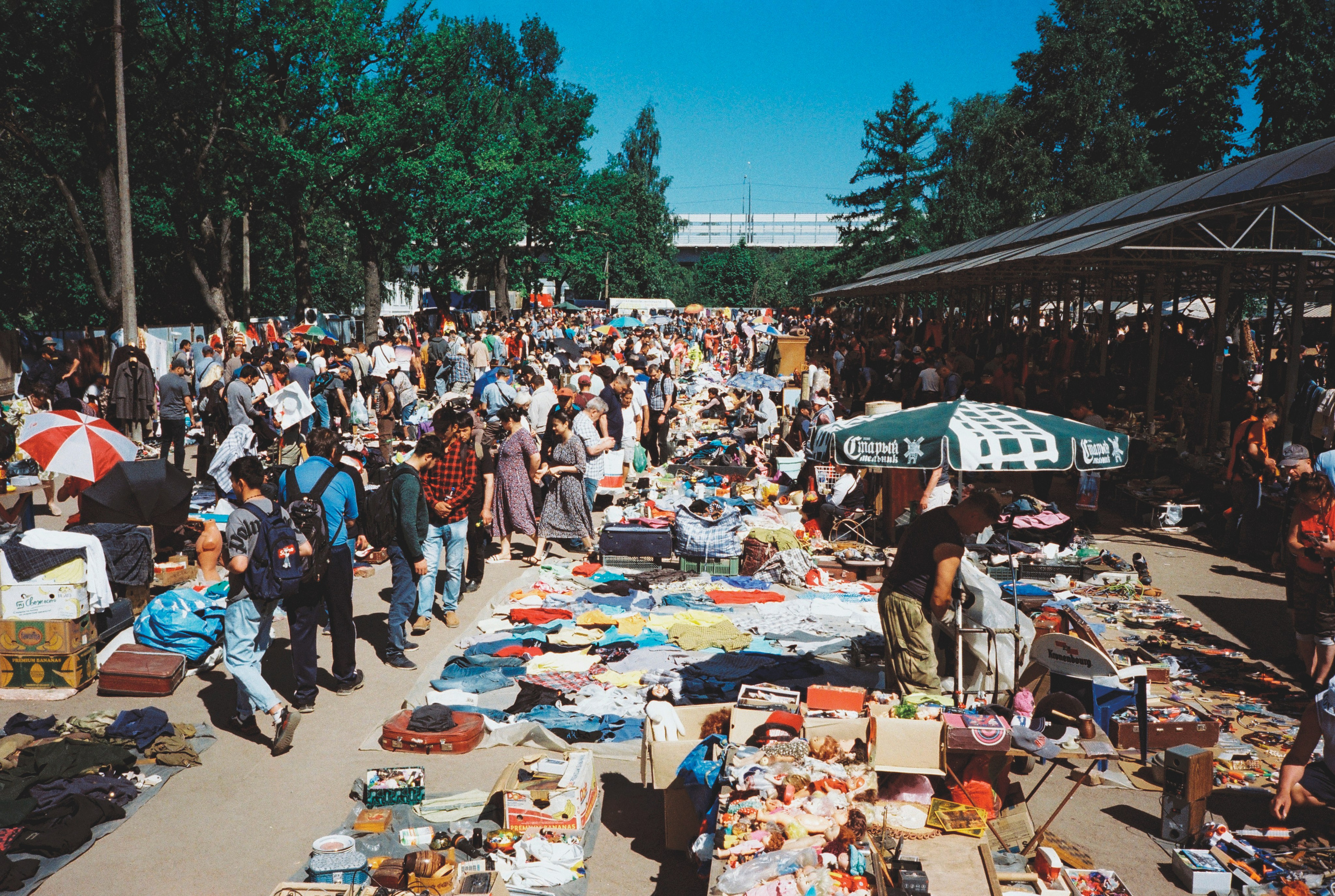 Фотографии цветные. Свадебный и семейный пленочный фотограф в Петербурге Истомина Ирина