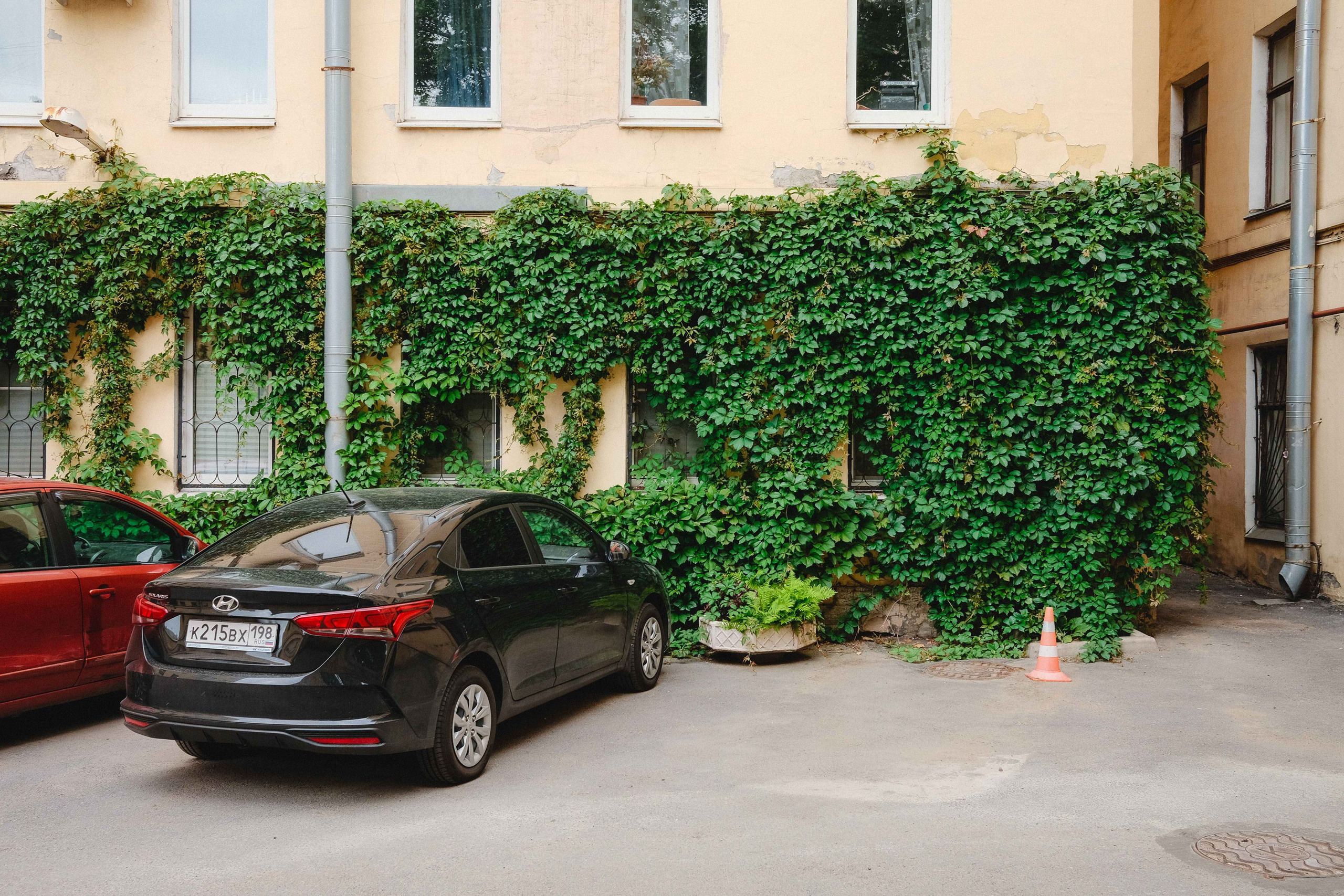 2023.07. Фотограф Алексей Алексеев