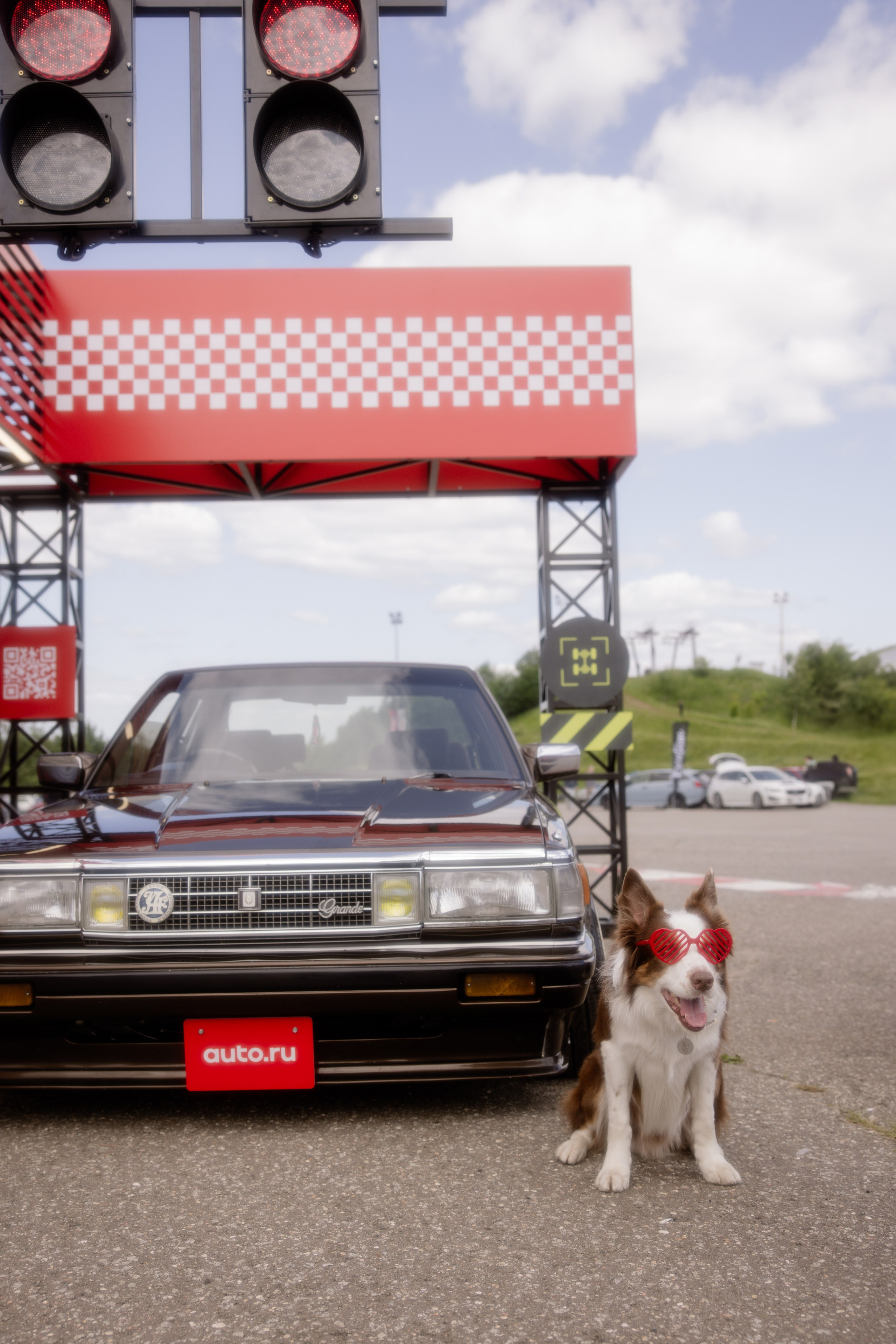 Japdays 25. Свадебный фотограф / Reels Нижний Новгород Татьяна Красильникова