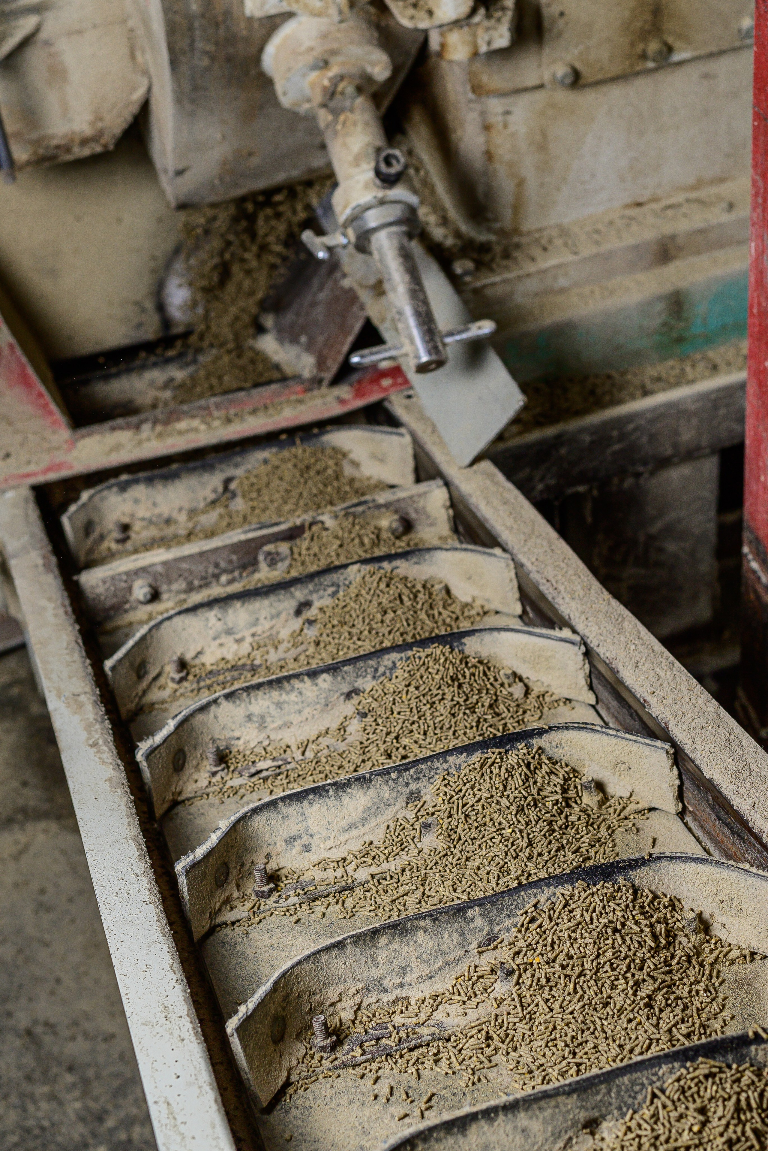 Производство комбикорма «ПрофАгроКорм»