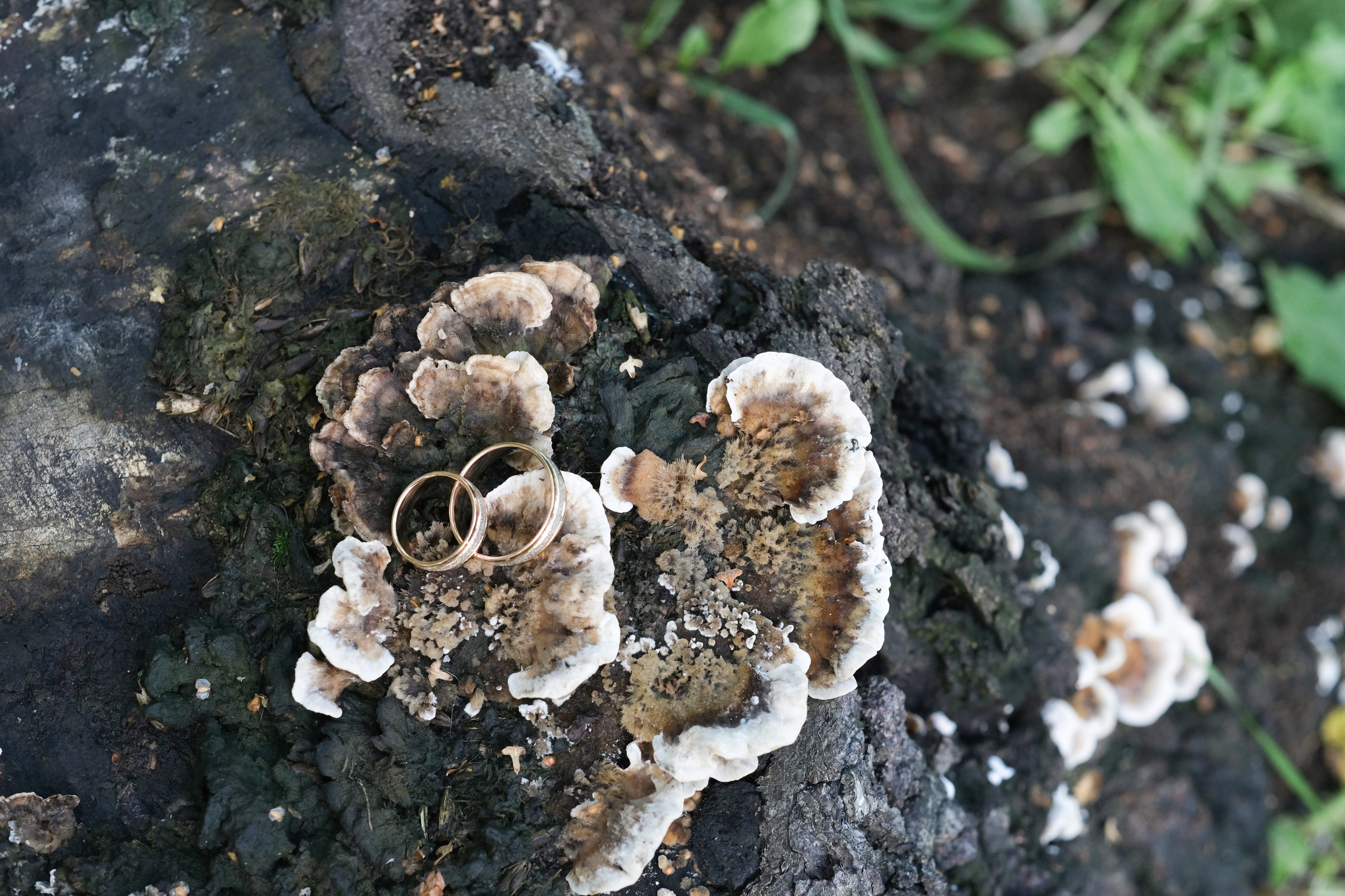 Свадьба Андрея и Надежды. Свадебный фотограф в Челябинске Сырчикова Наталья