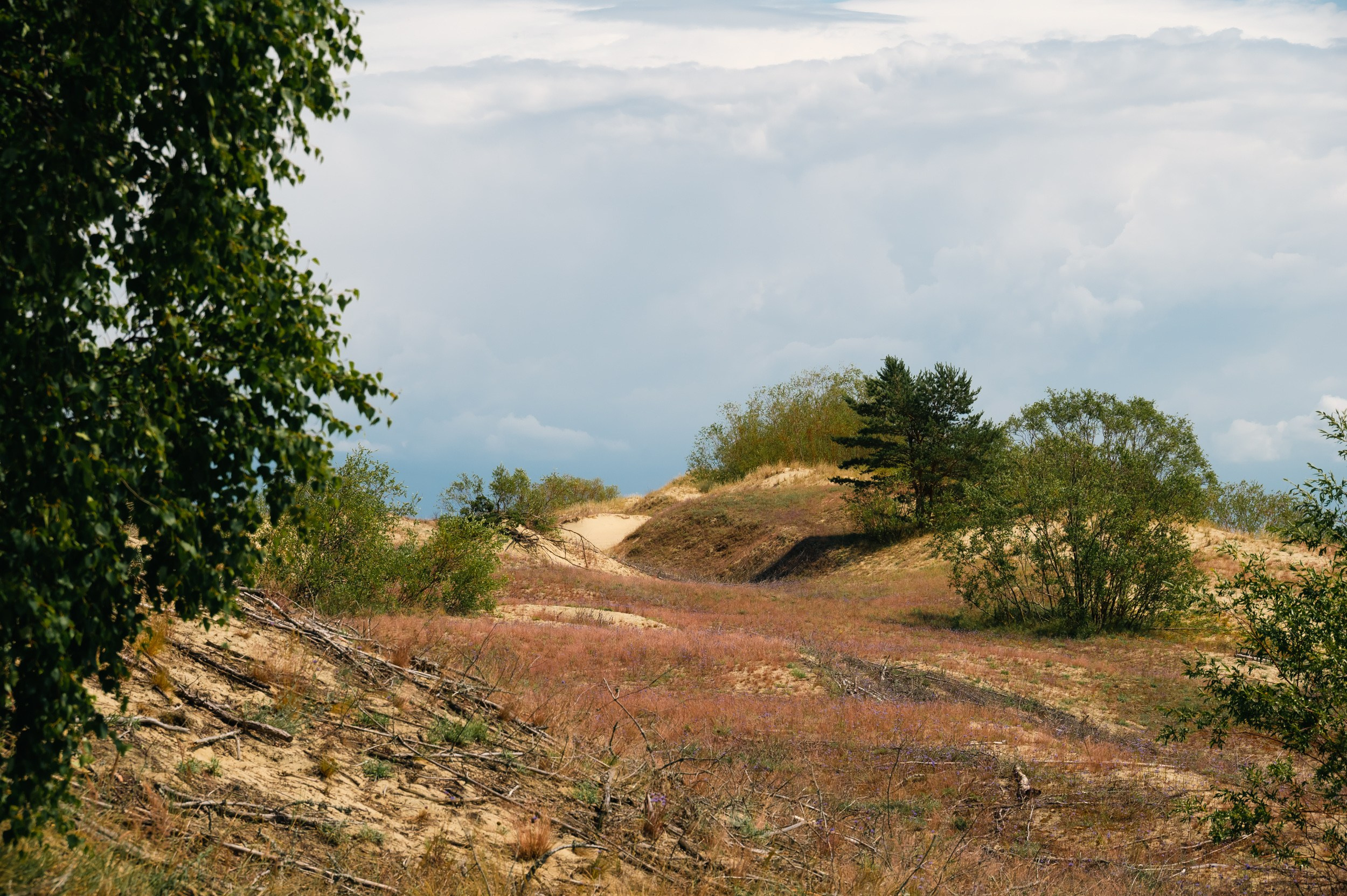 Куршская коса. Фотограф и видеооператор в Туле | Даниил Рыбак