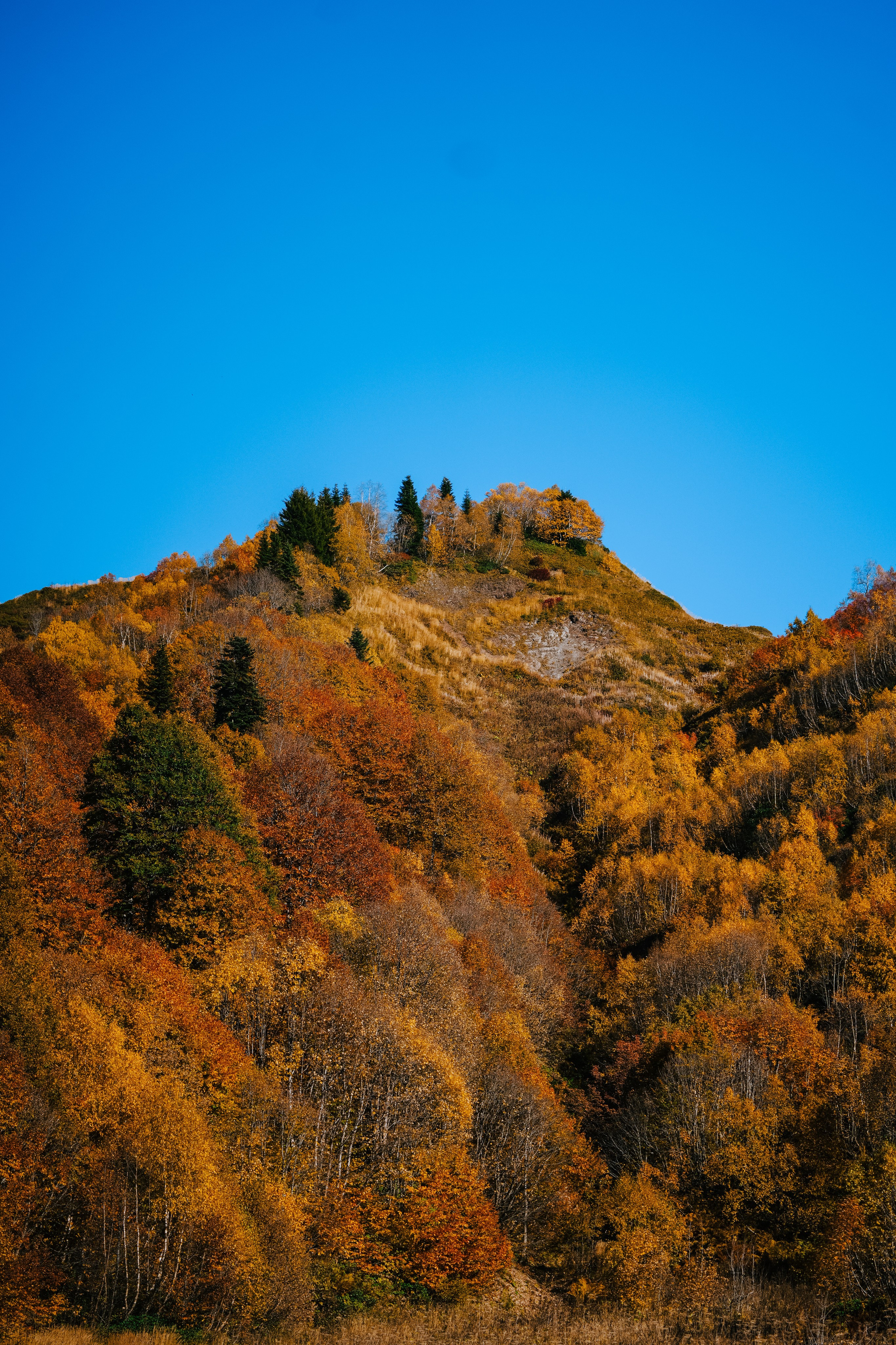 Роза Пик, тропа Турья ✽ Октябрь. Репортажный фотограф | Роза Хутор Красная Поляна Сочи Сириус