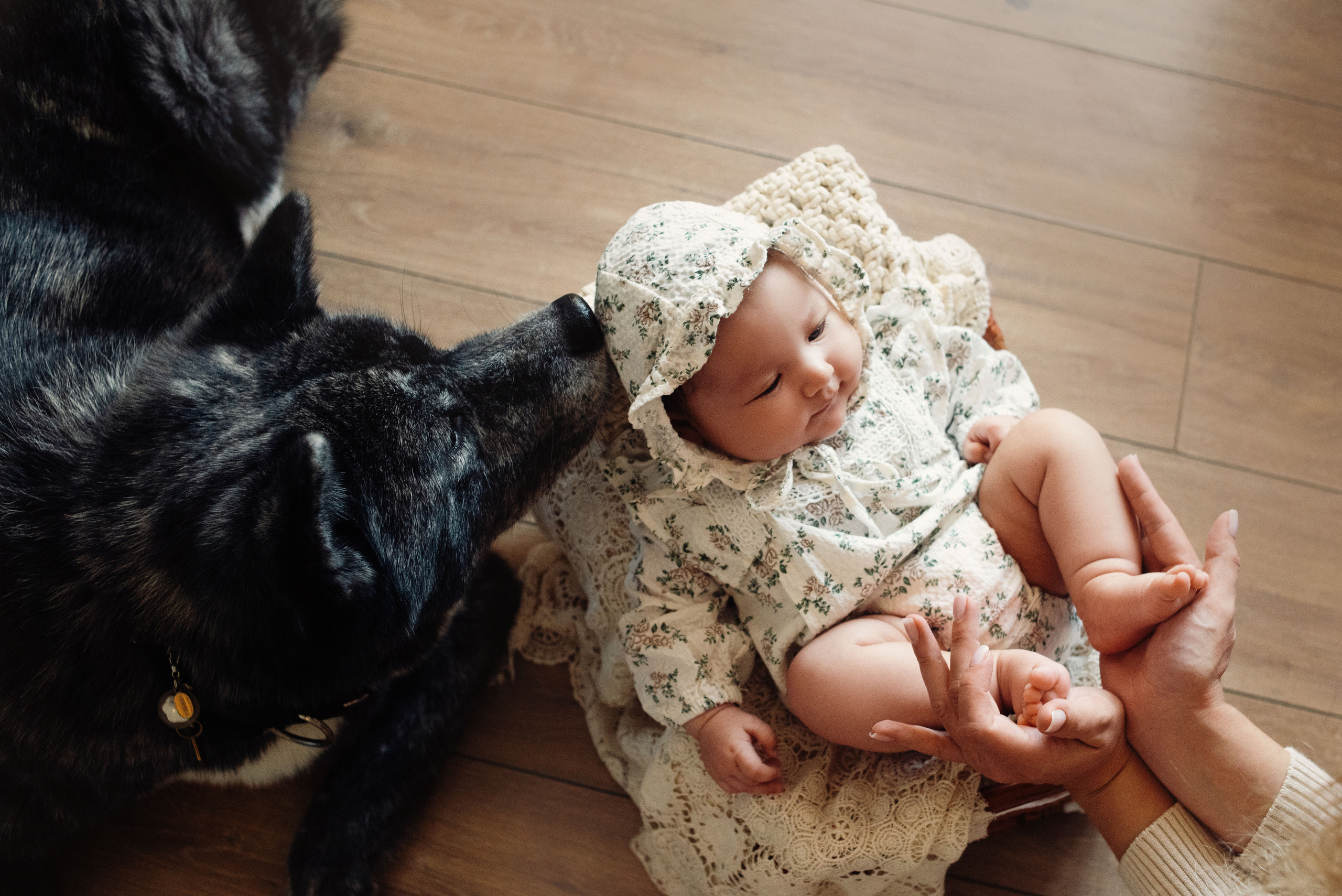 ДОМАшние съемки. Фотограф Новорожденных во Владивостоке Ольга Галаницкая