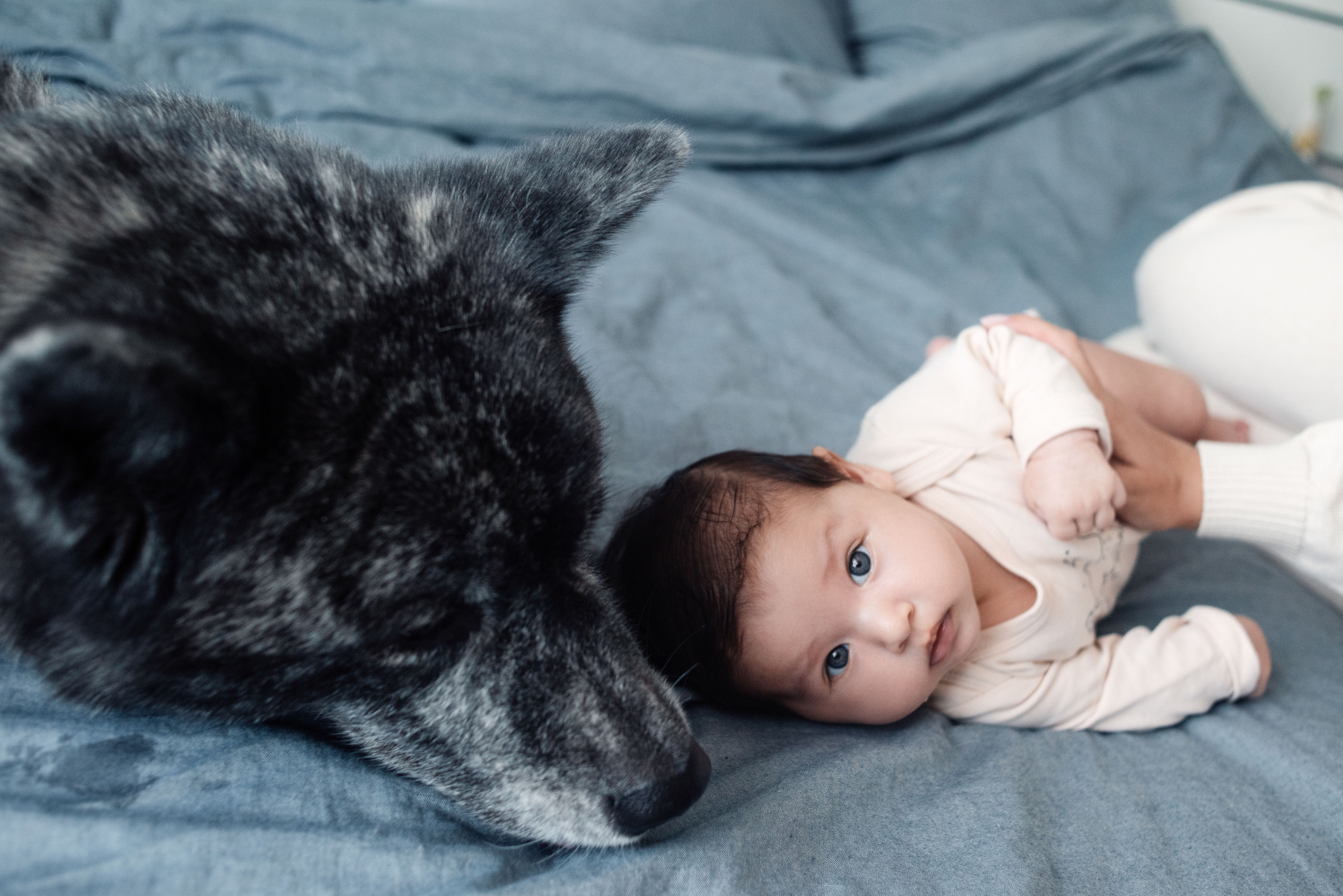 ДОМАшние съемки. Фотограф Новорожденных во Владивостоке Ольга Галаницкая