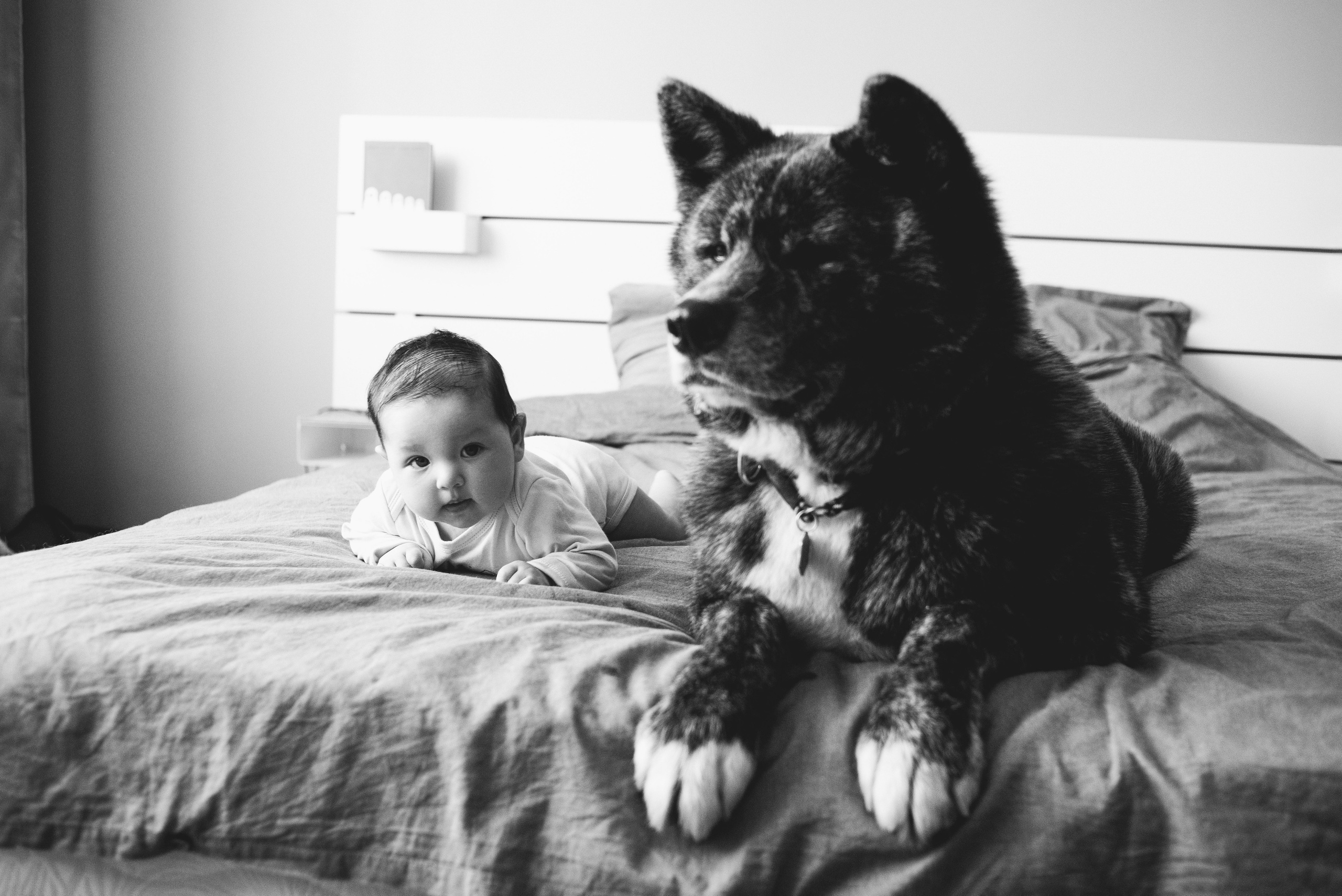 ДОМАшние съемки. Фотограф Новорожденных во Владивостоке Ольга Галаницкая