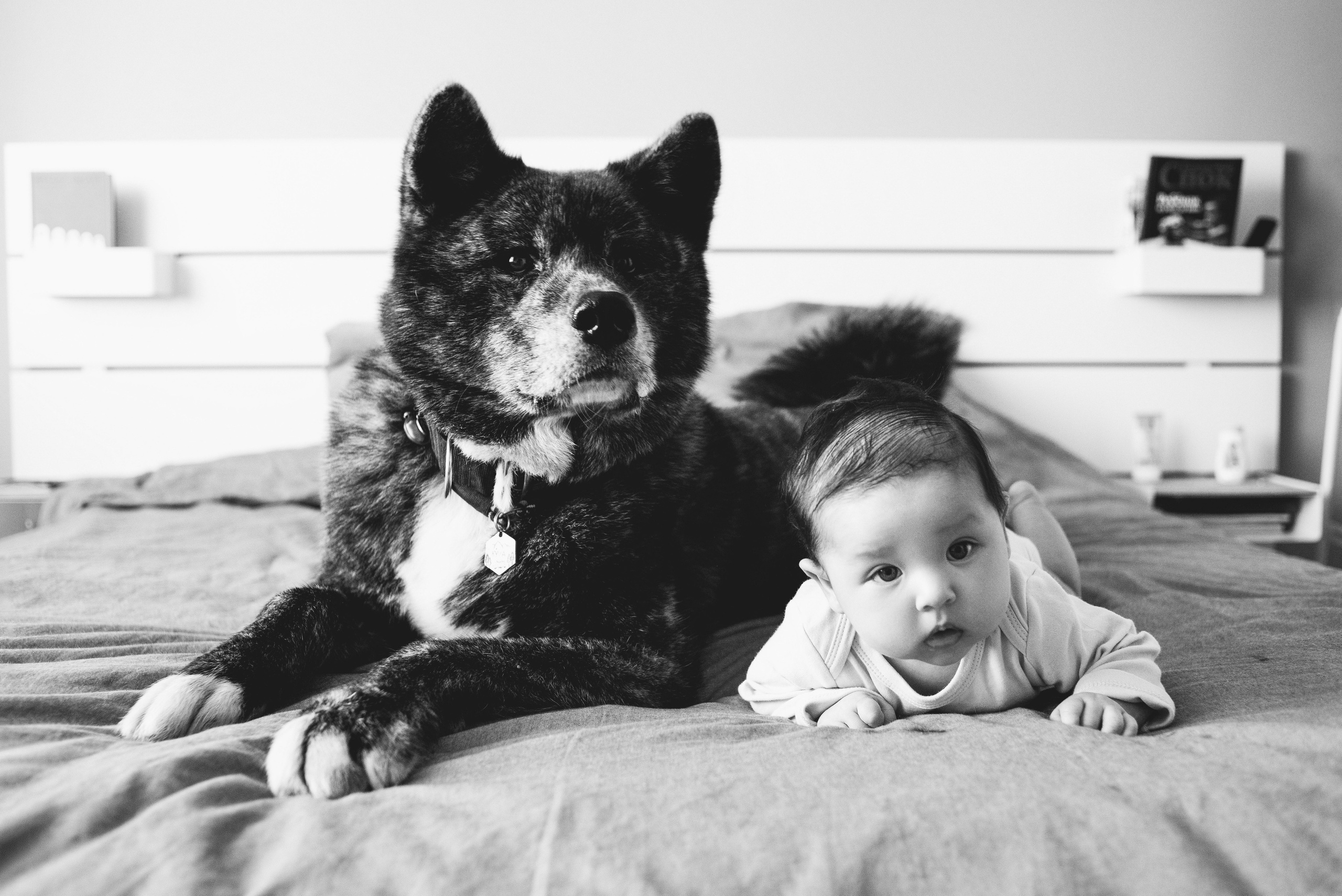 ДОМАшние съемки. Фотограф Новорожденных во Владивостоке Ольга Галаницкая