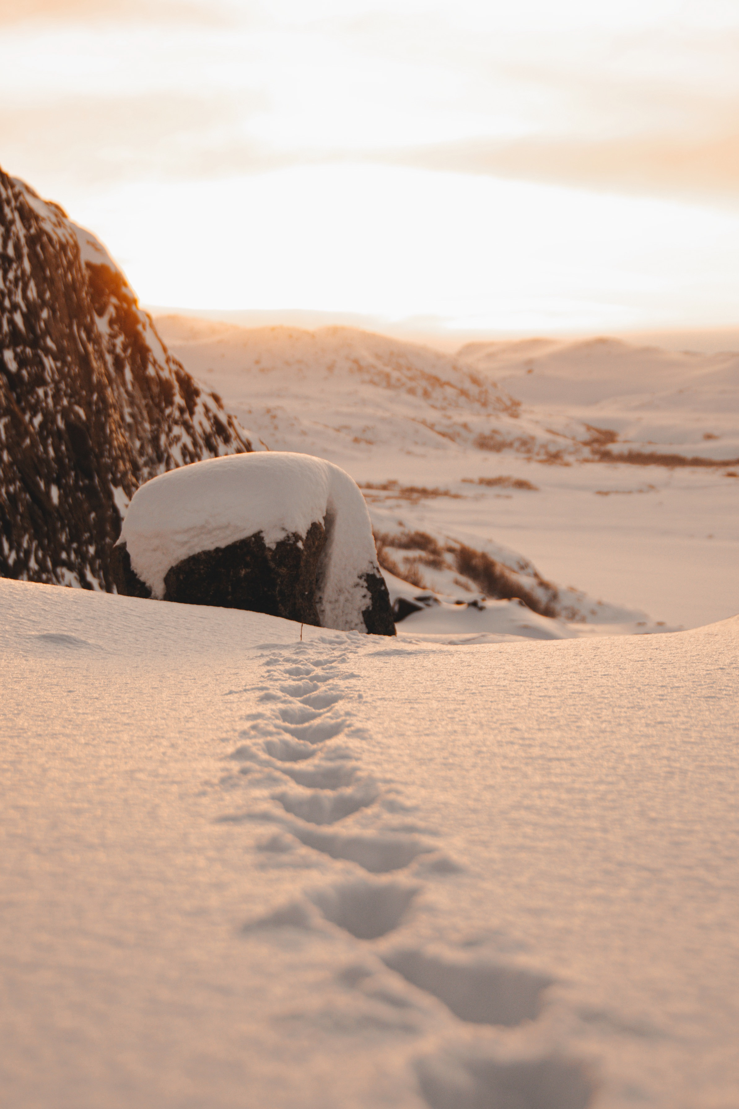 Один день в тундре. Abakumova Viktoria