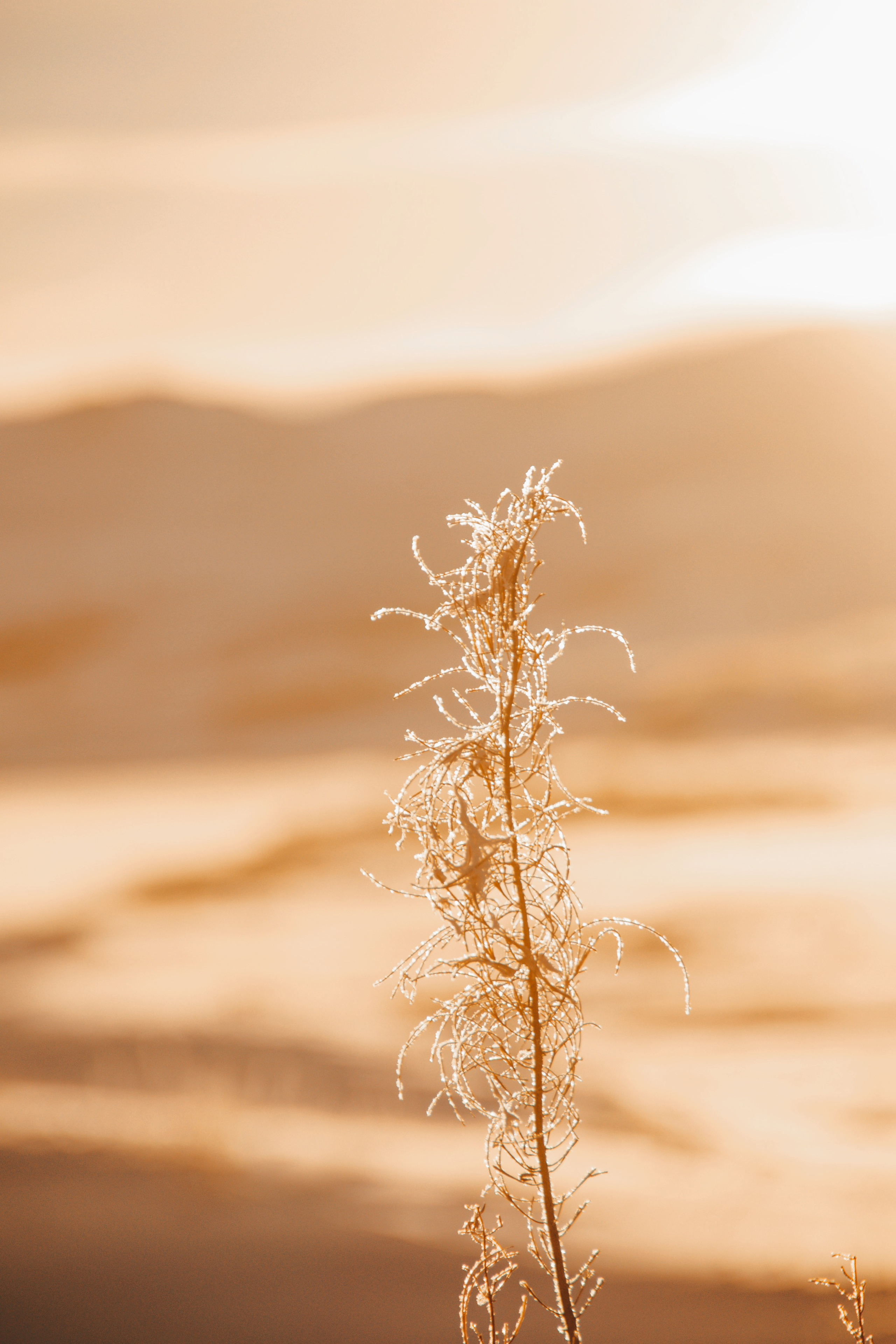 Один день в тундре. Abakumova Viktoria