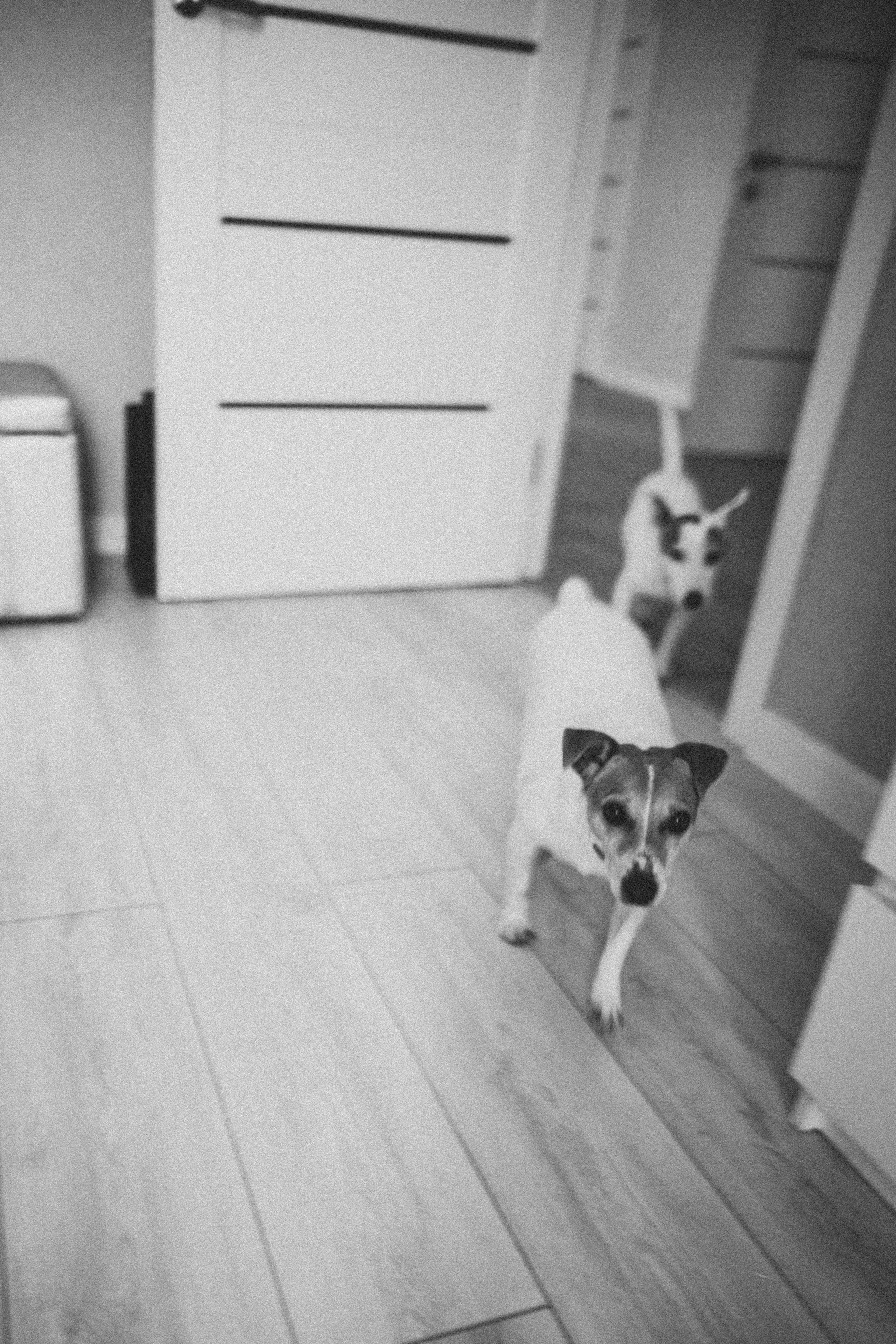 Юля Сергей Лика Артем. Семейный фотограф в Краснодаре Анна Пасик