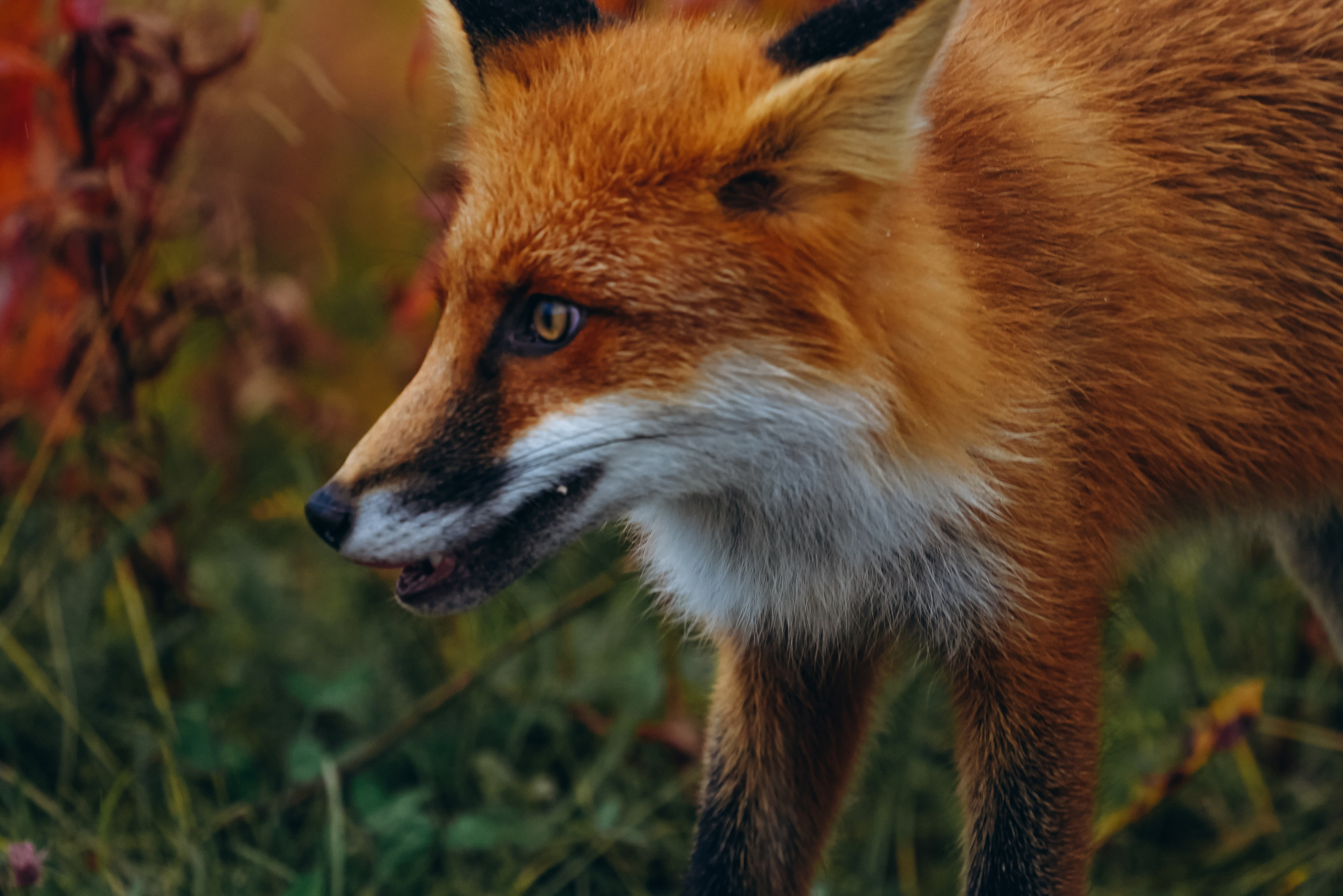 СЕВЕР. Event фотограф Степанова Александра