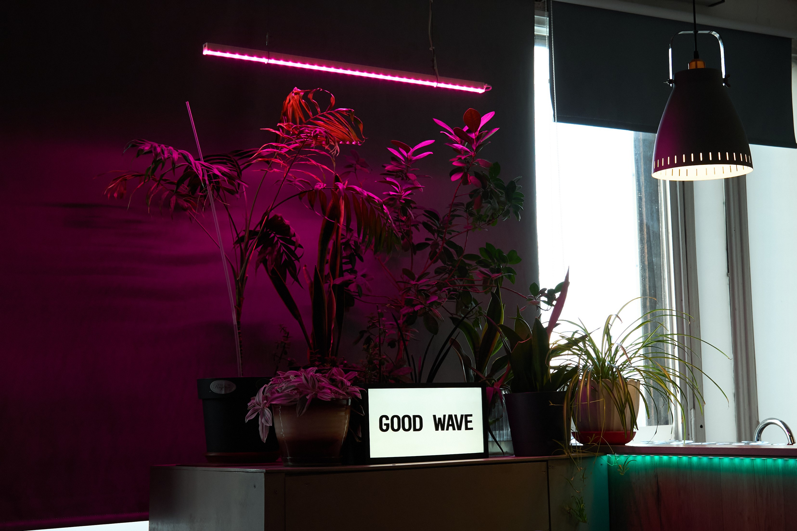 День Рождения Ольги. Елизавета Мальгина, фотограф в Москве