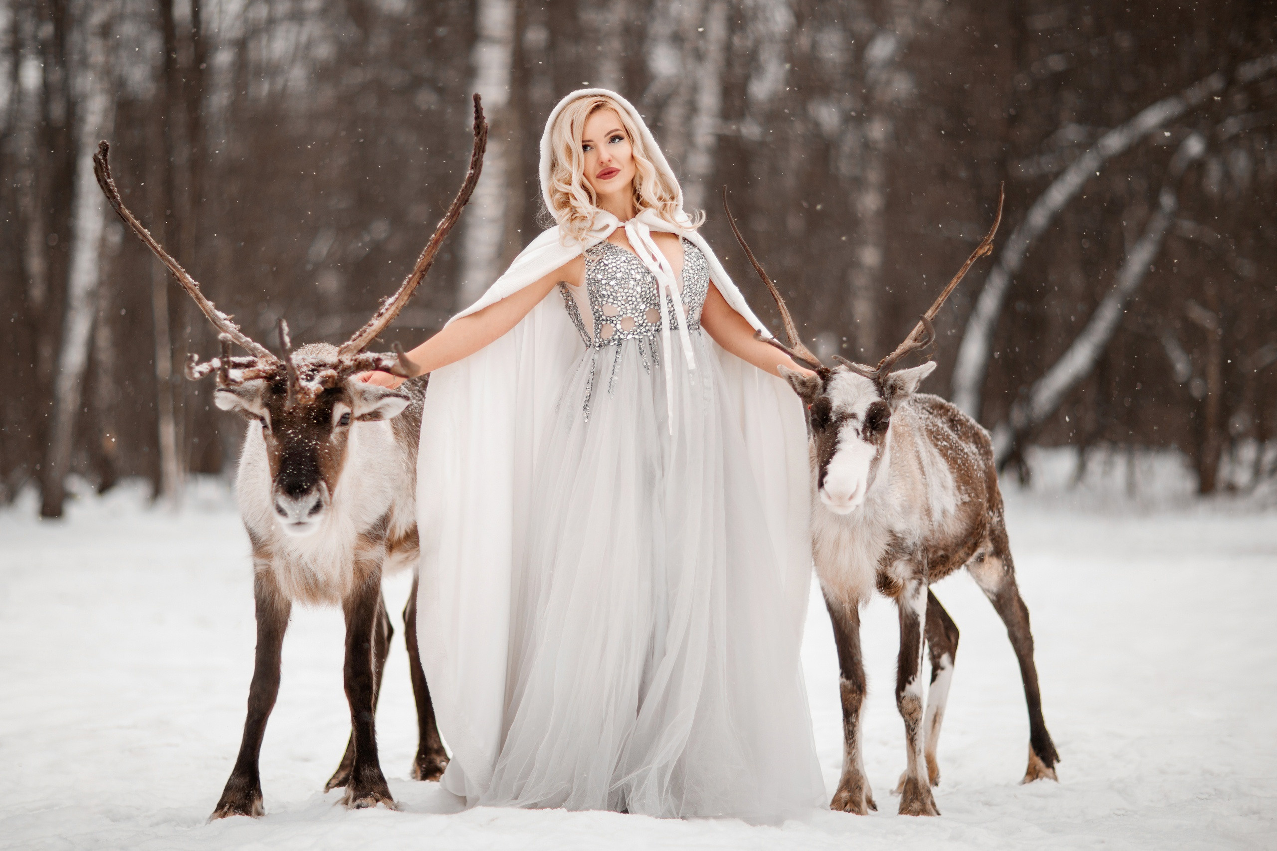 Фотосессия с животными. Фотограф Москва | Екатерина Кронштадтская | fotoch_ka