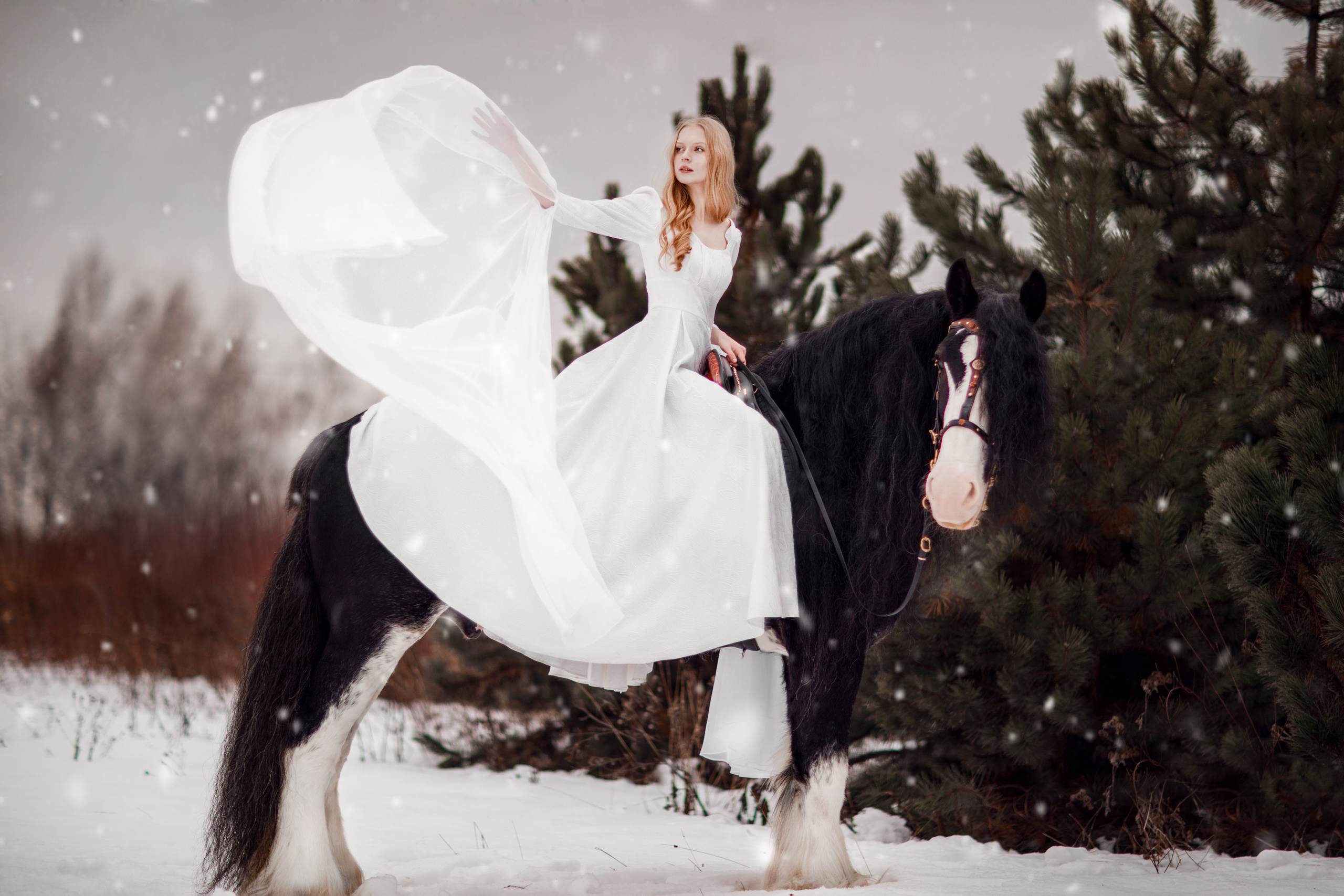 Зимний проект с конём 2022. Фотограф Москва | Екатерина Кронштадтская | fotoch_ka