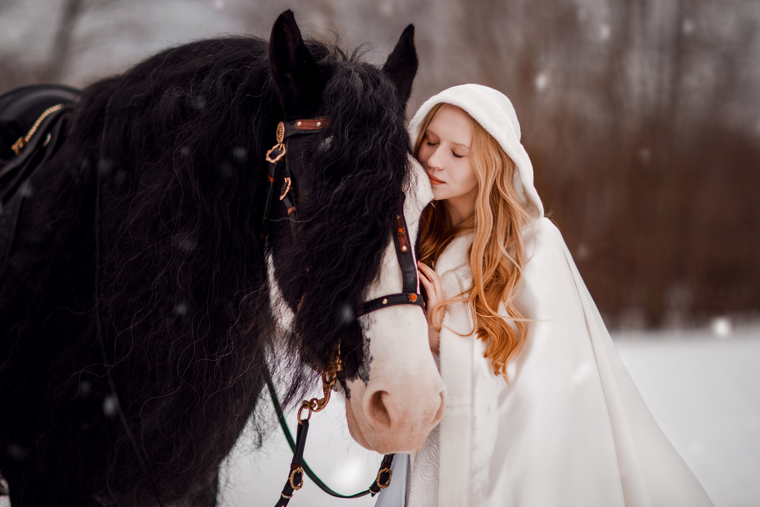 Зимний проект с конём 2022. Фотограф Москва | Екатерина Кронштадтская | fotoch_ka