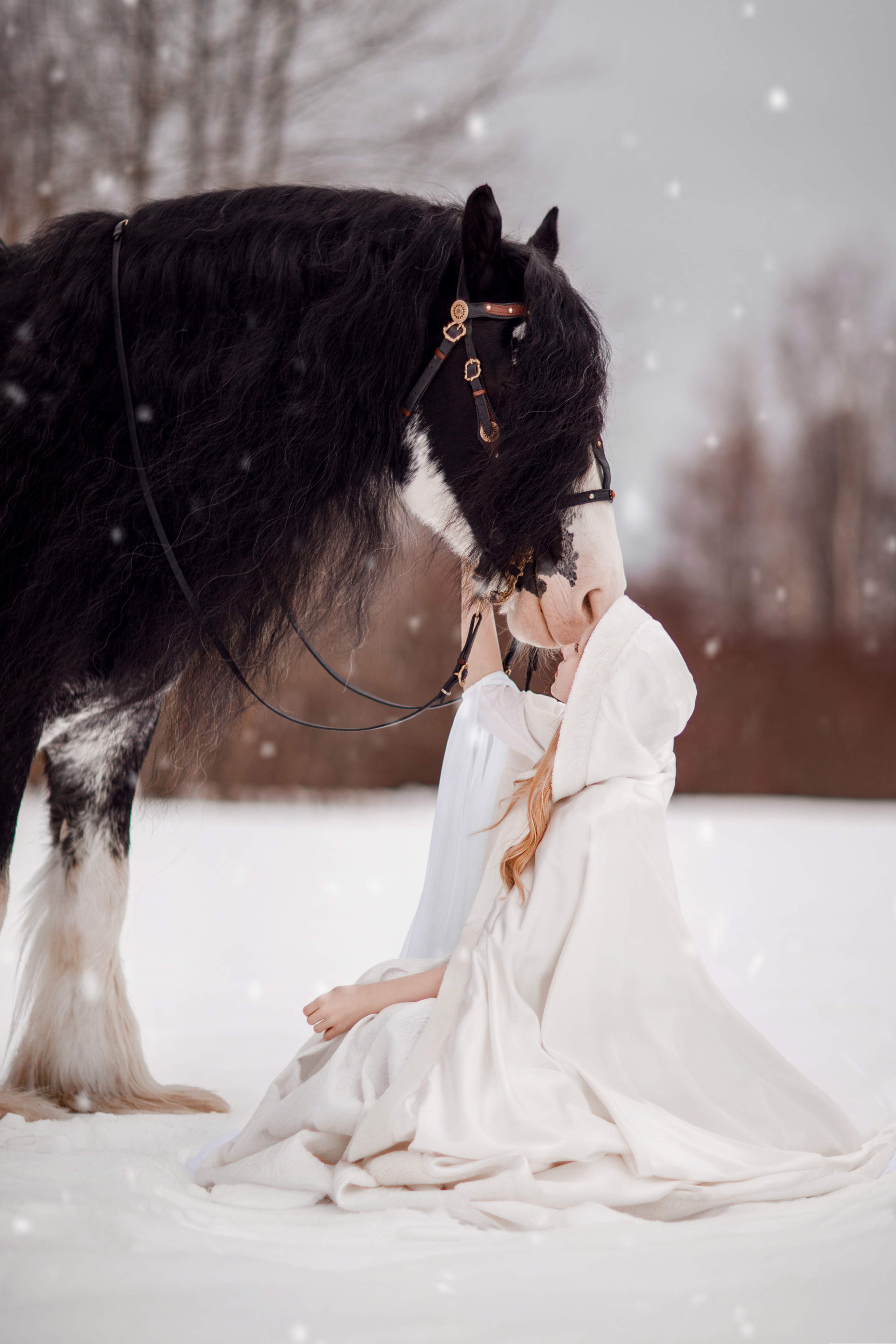 Зимний проект с конём 2022. Фотограф Москва | Екатерина Кронштадтская | fotoch_ka