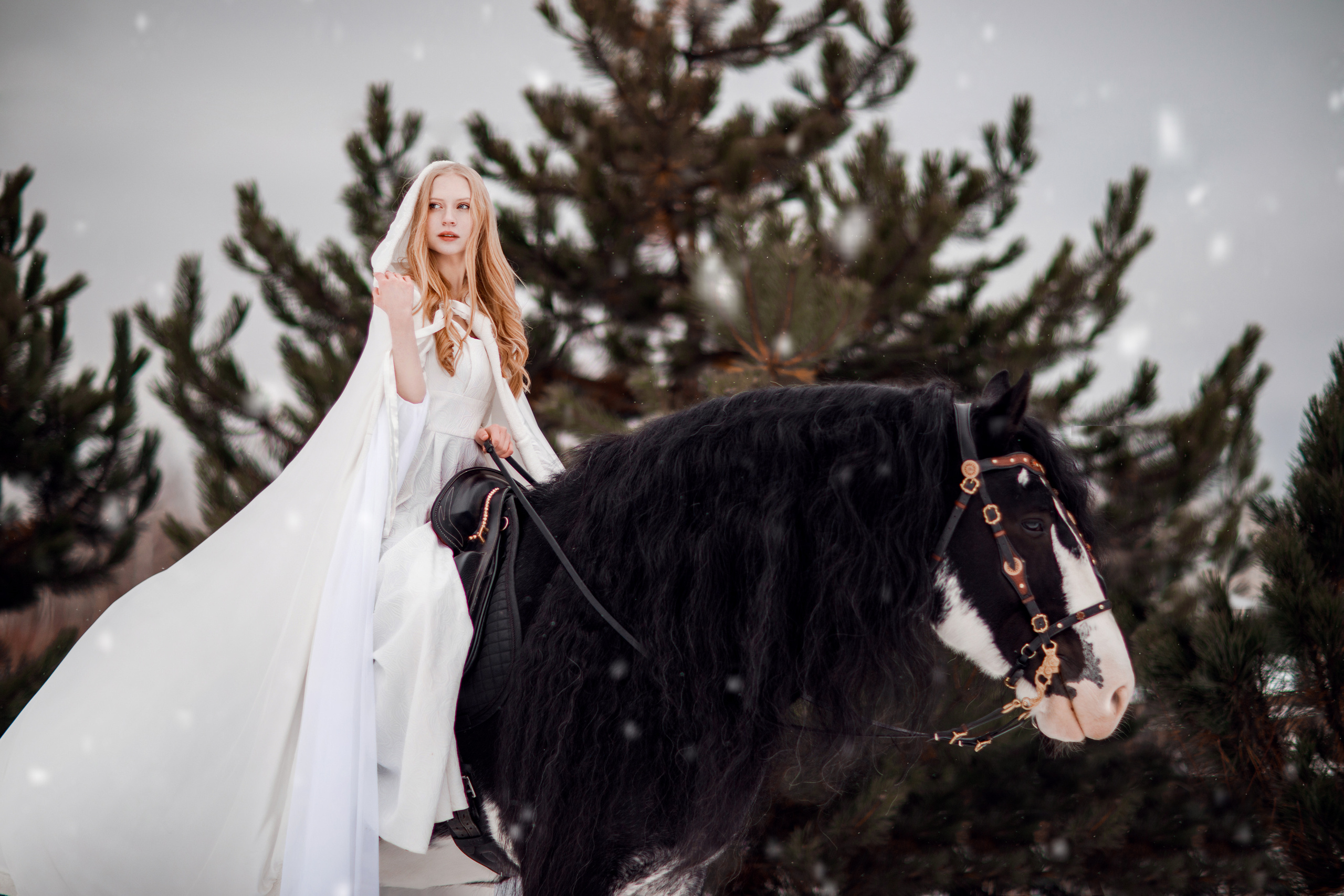 Зимний проект с конём 2022. Фотограф Москва | Екатерина Кронштадтская | fotoch_ka