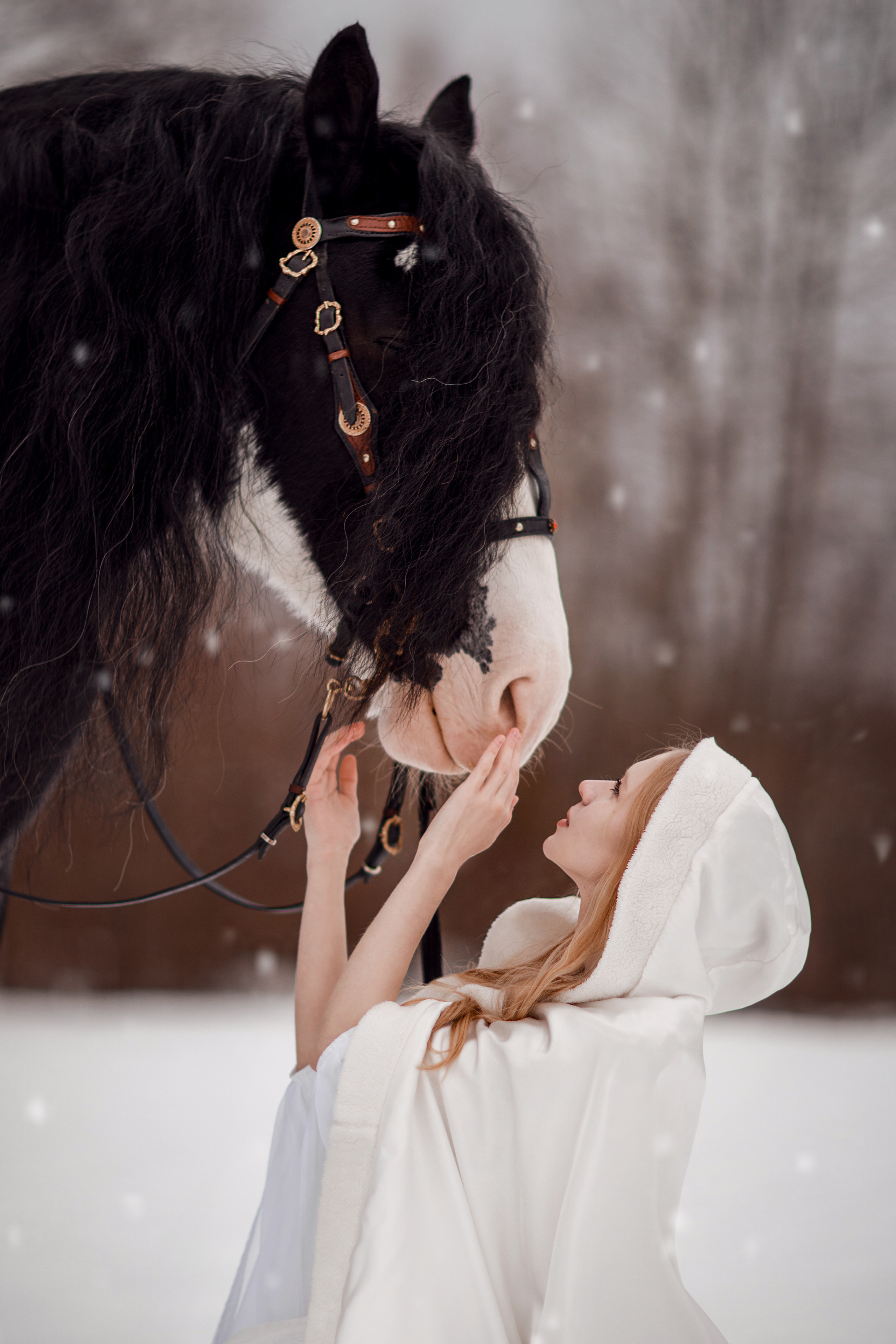 Зимний проект с конём 2022. Фотограф Москва | Екатерина Кронштадтская | fotoch_ka