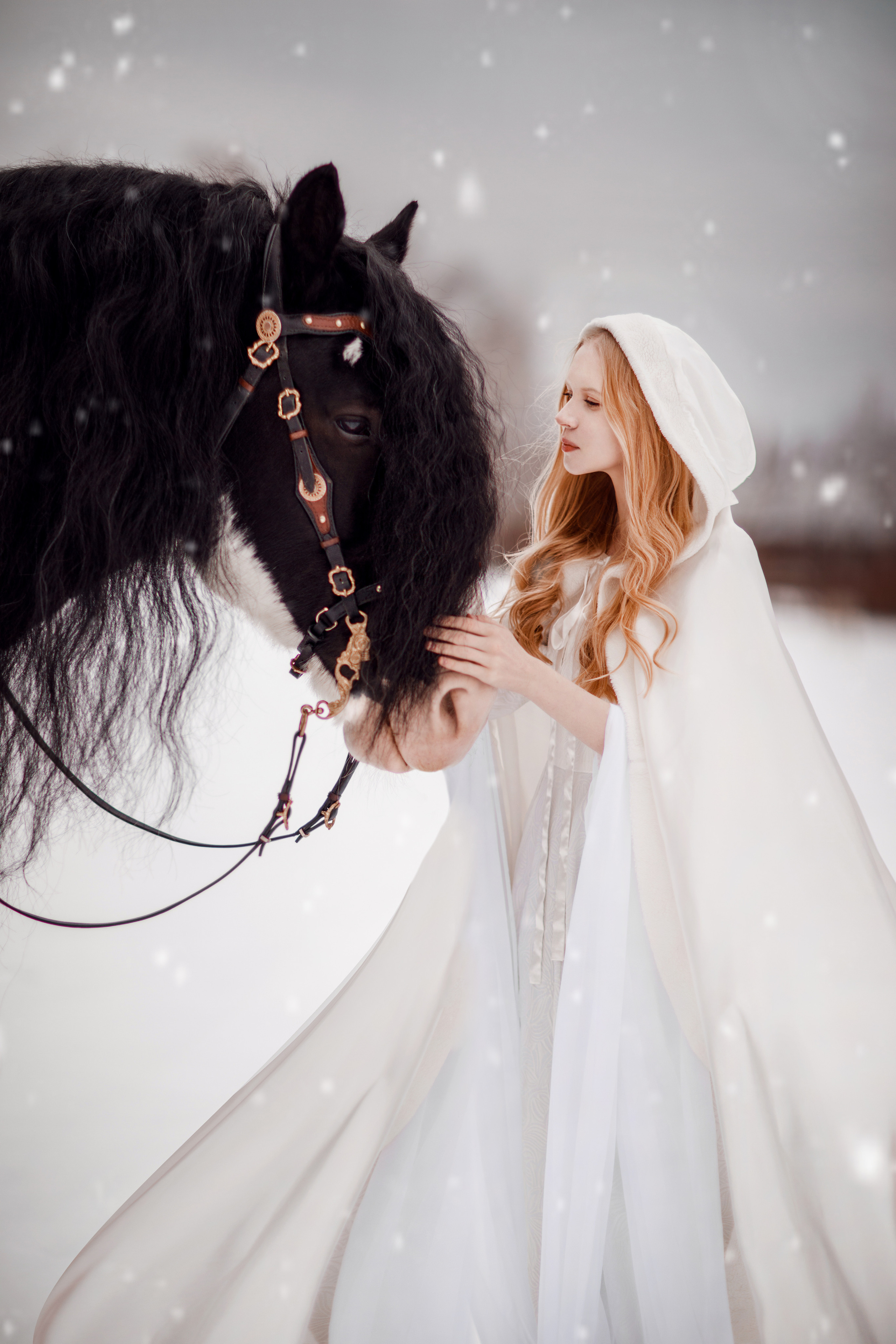 Зимний проект с конём 2022. Фотограф Москва | Екатерина Кронштадтская | fotoch_ka