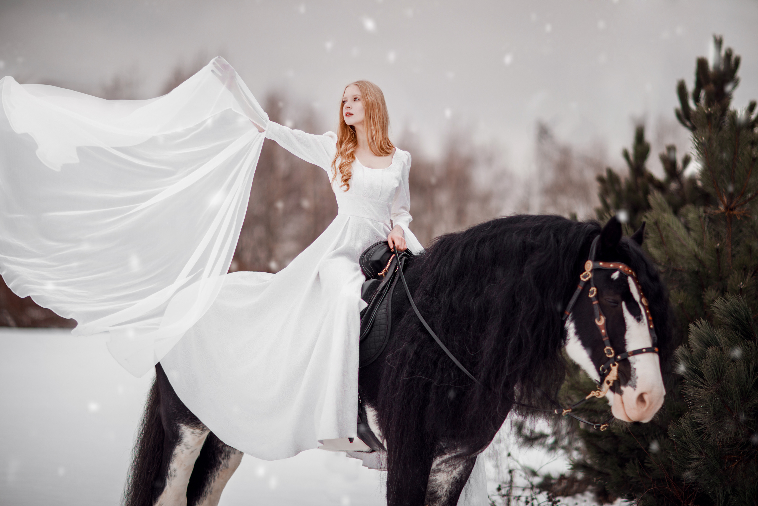 Зимний проект с конём 2022. Фотограф Москва | Екатерина Кронштадтская | fotoch_ka