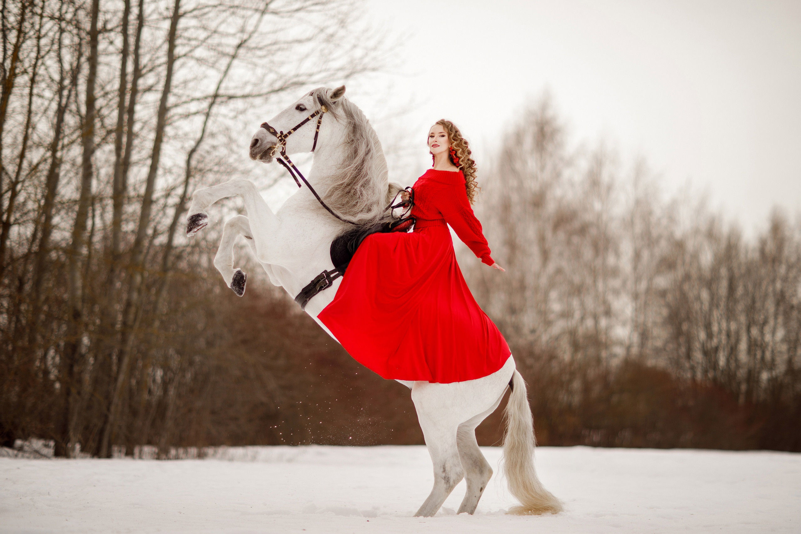 Фотосессия с животными. Фотограф Москва | Екатерина Кронштадтская | fotoch_ka