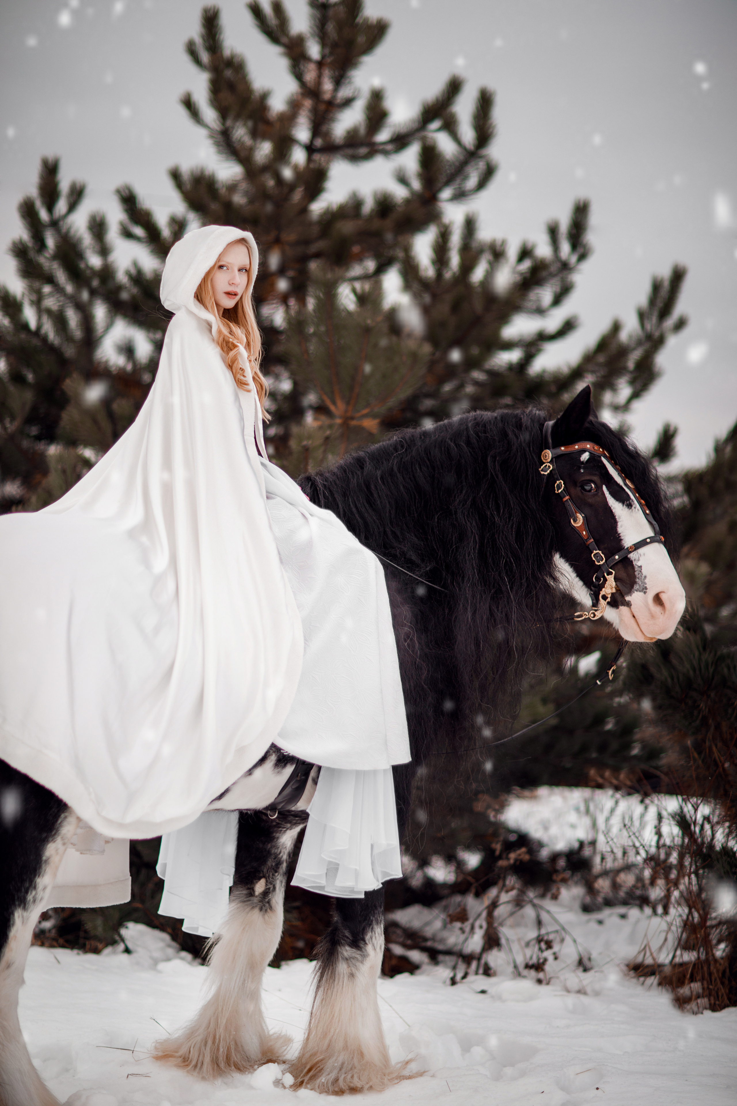 Зимний проект с конём 2022. Фотограф Москва | Екатерина Кронштадтская | fotoch_ka