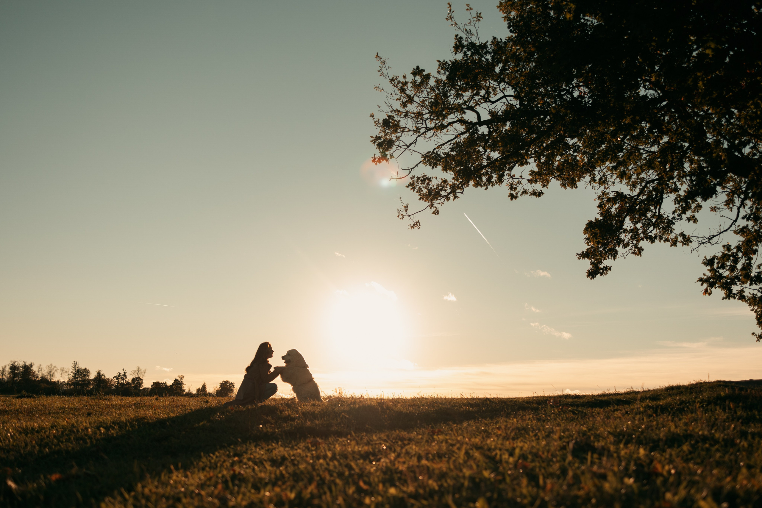 Лера и Скай. Фотограф — Анималист | Санкт-Петербург