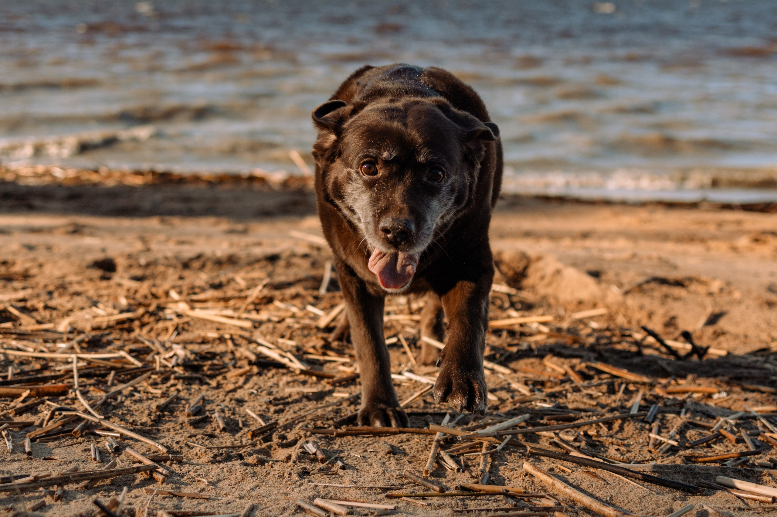 Оля и Питоня. Фотограф — Анималист | Санкт-Петербург