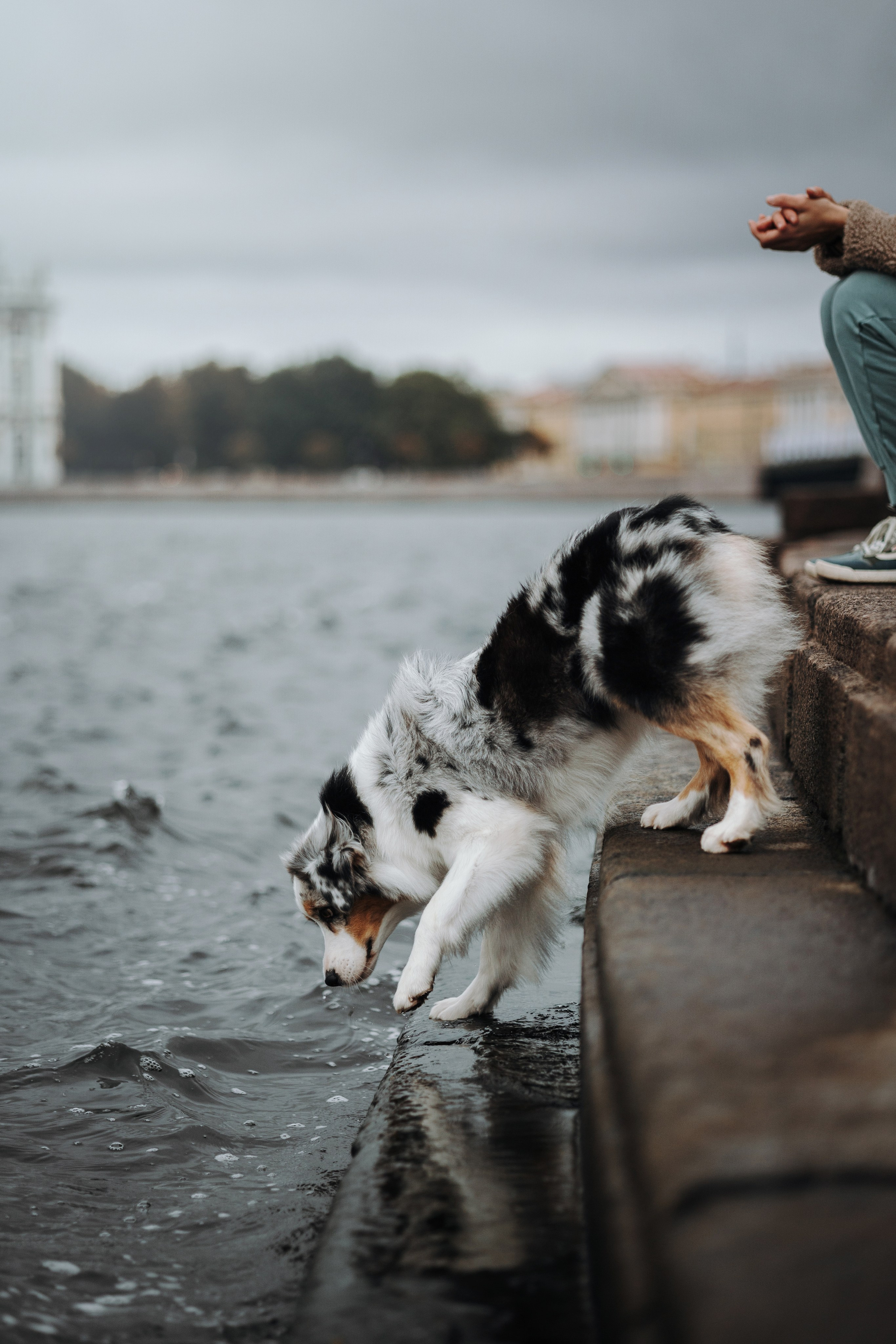 Ирина и Кайса. Фотограф — Анималист | Санкт-Петербург