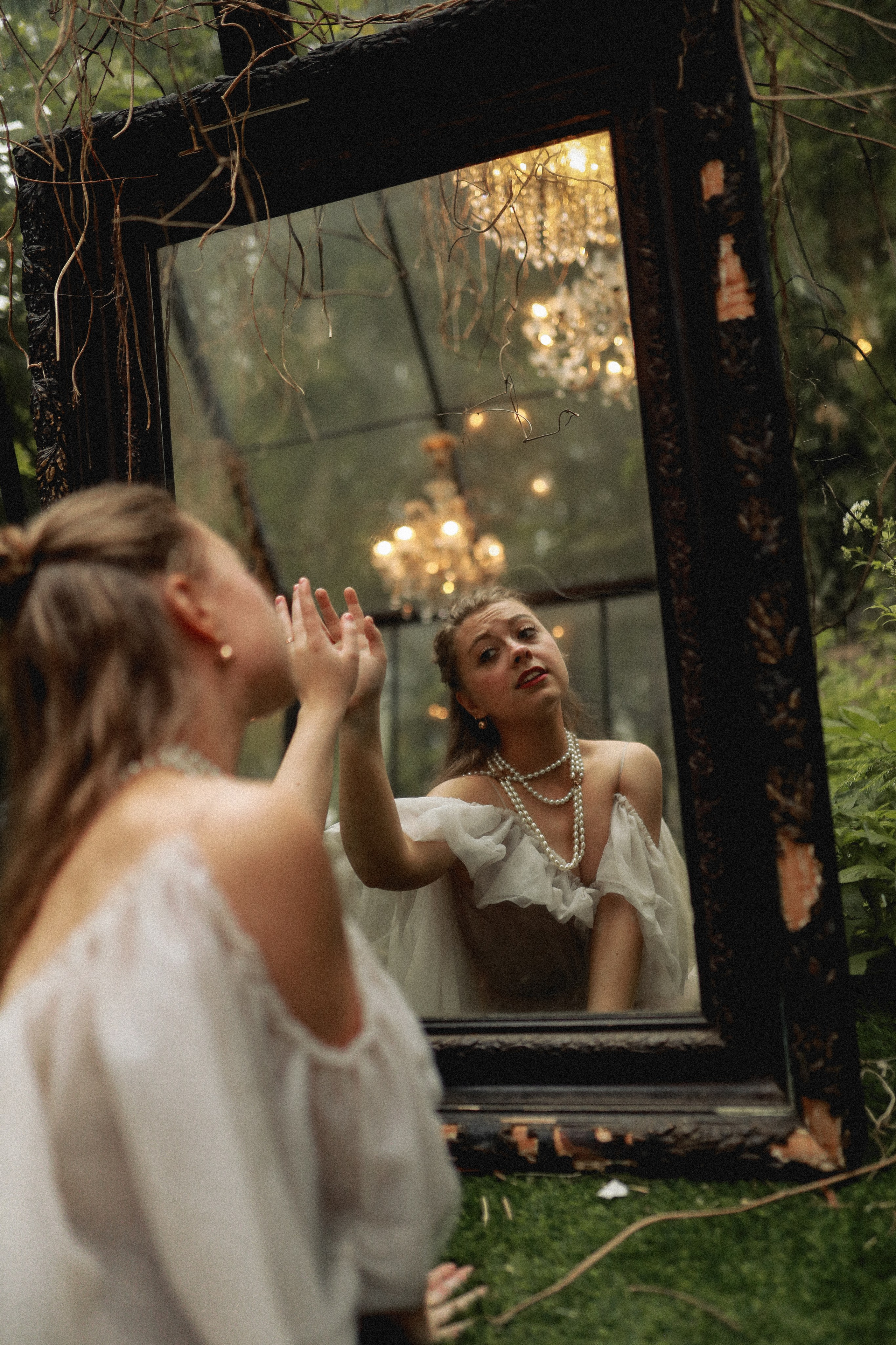 Зачарованный лес